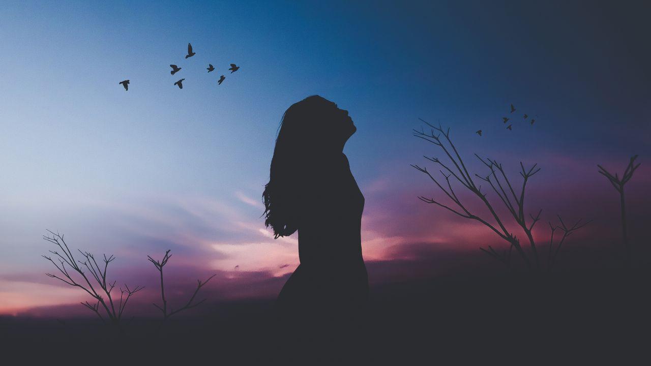 Wallpaper Alone, Woman, Birds, Silhouette, HD, Fantasy