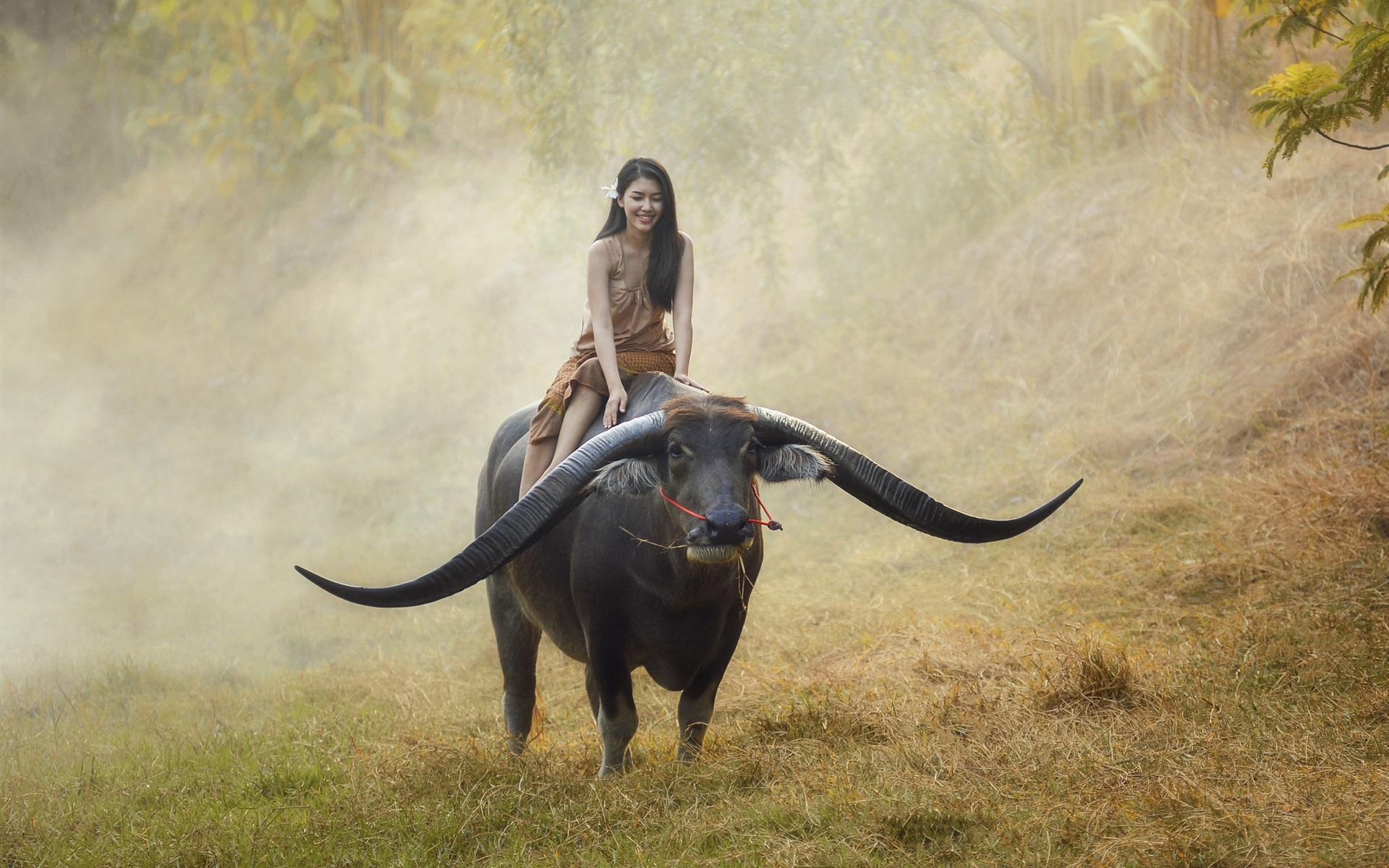 Wallpaper Girl ride buffalo, Thailand 1920x1200 HD Picture, Image