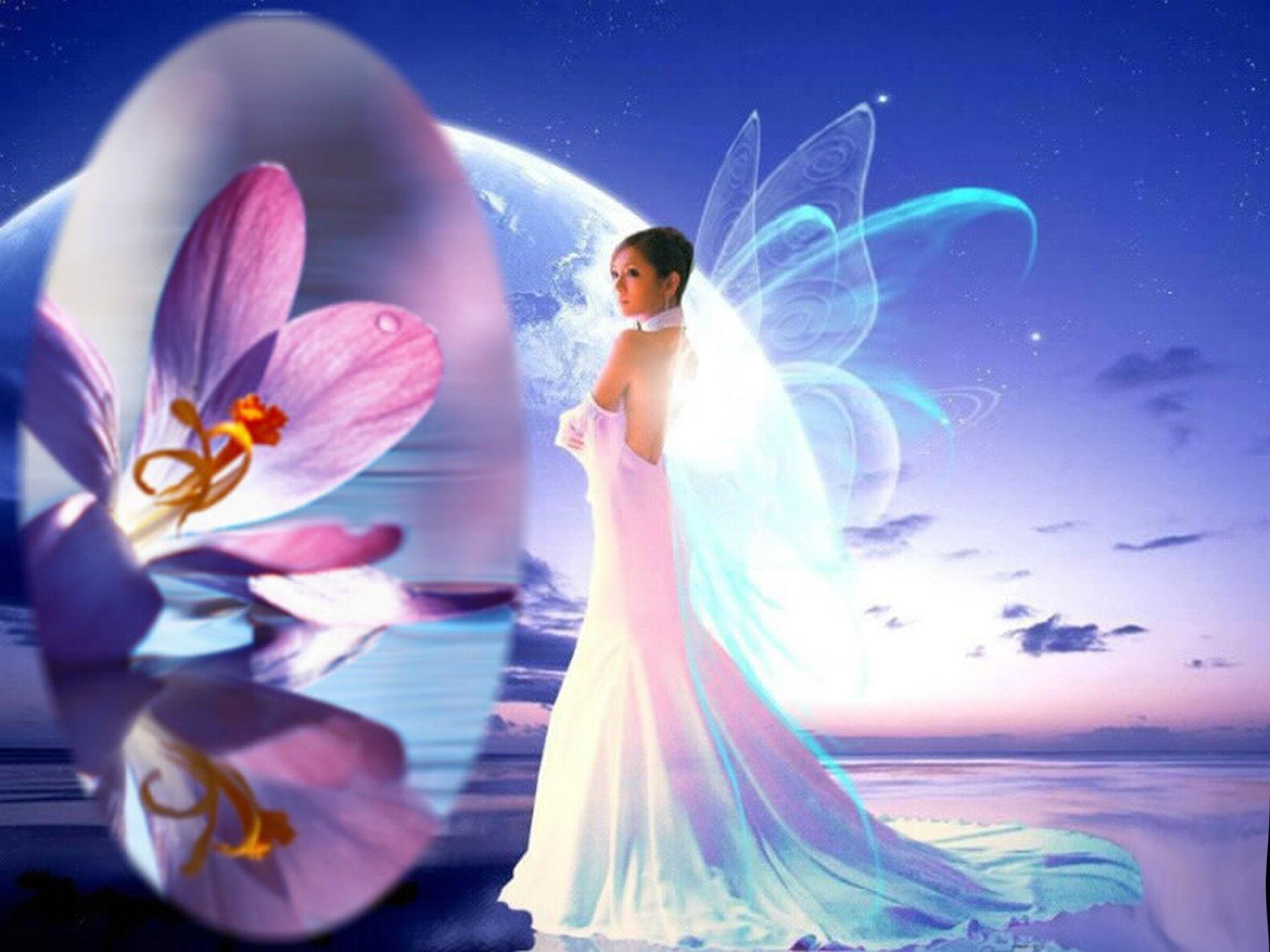 Angel Fairies Wallpaper