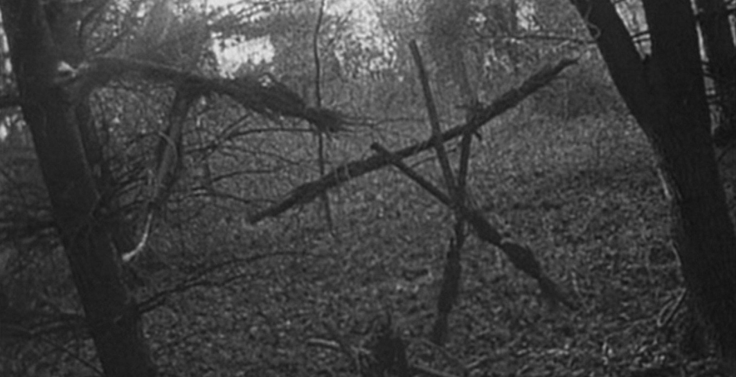 Blair Witch Wallpaper and Background Image