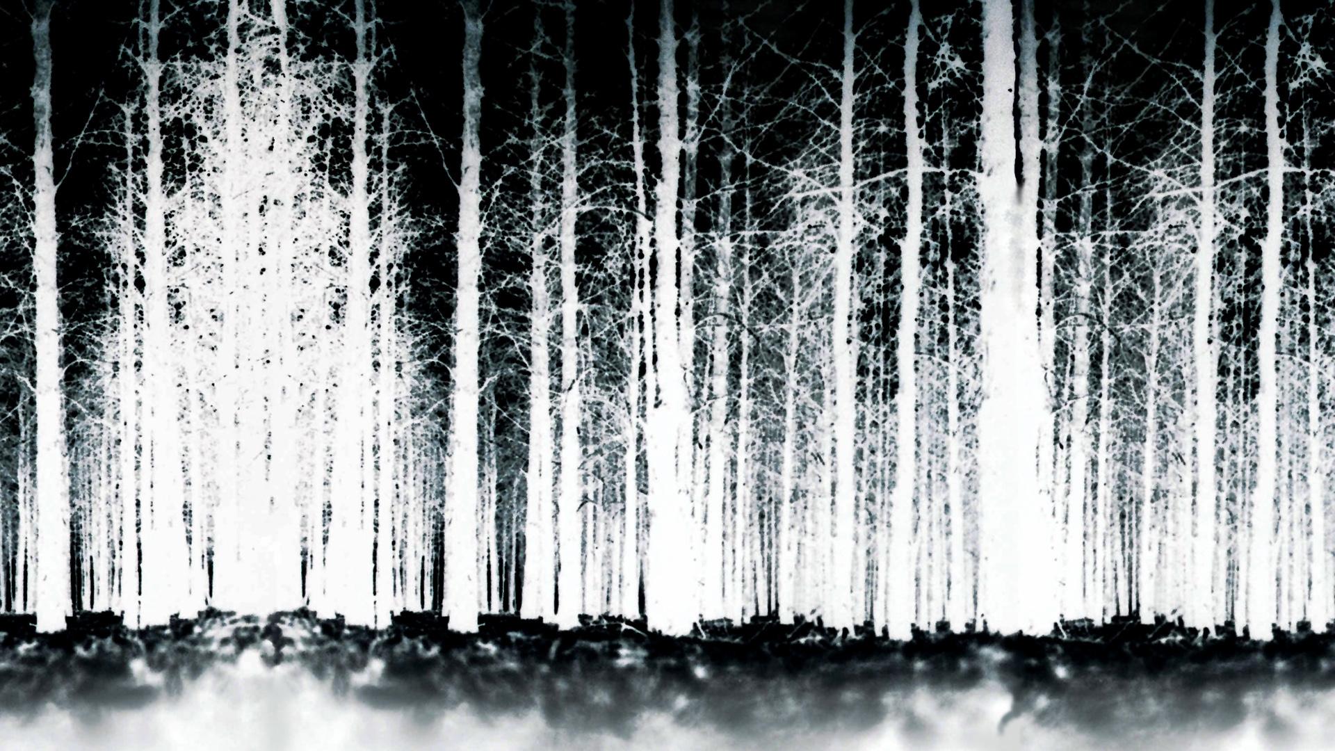 The Blair Witch Project Movie Wallpaper image in Collection