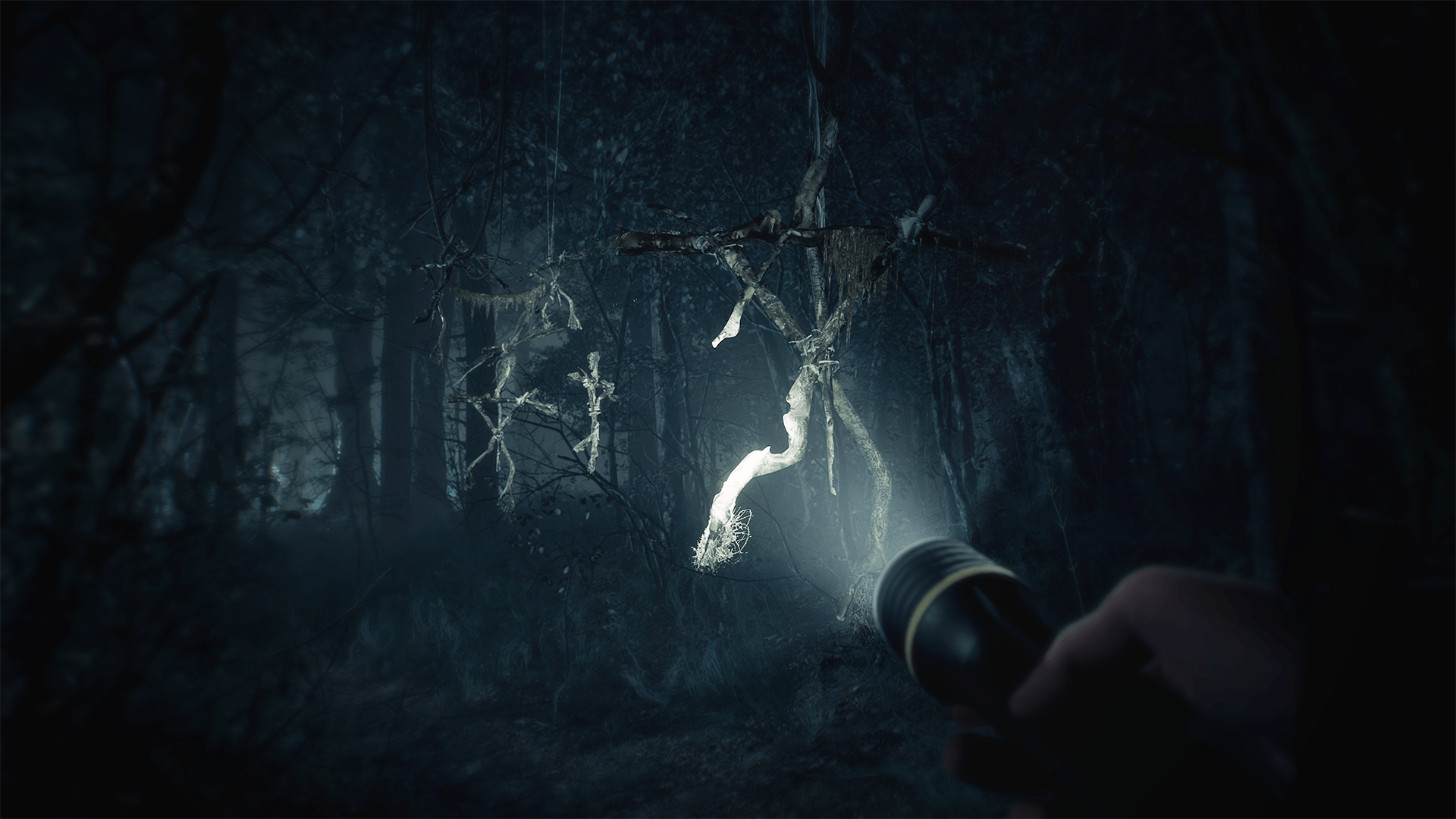 Blair Witch game trailer for Xbox One and PC