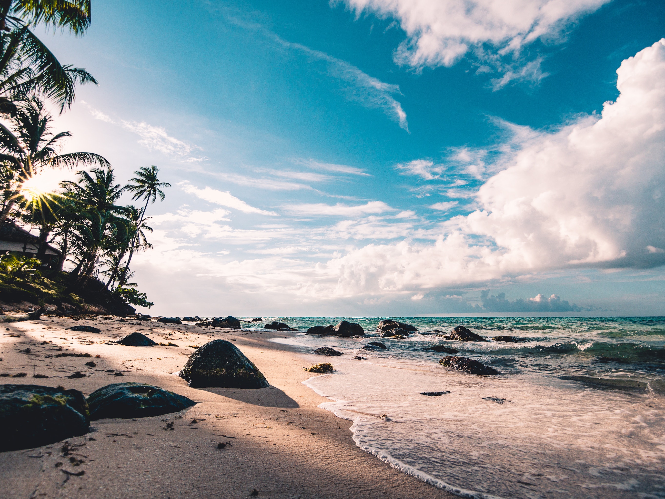 Palm paradise Azure ocean tree rocks Sand sky Tranquil HD wallpaper
