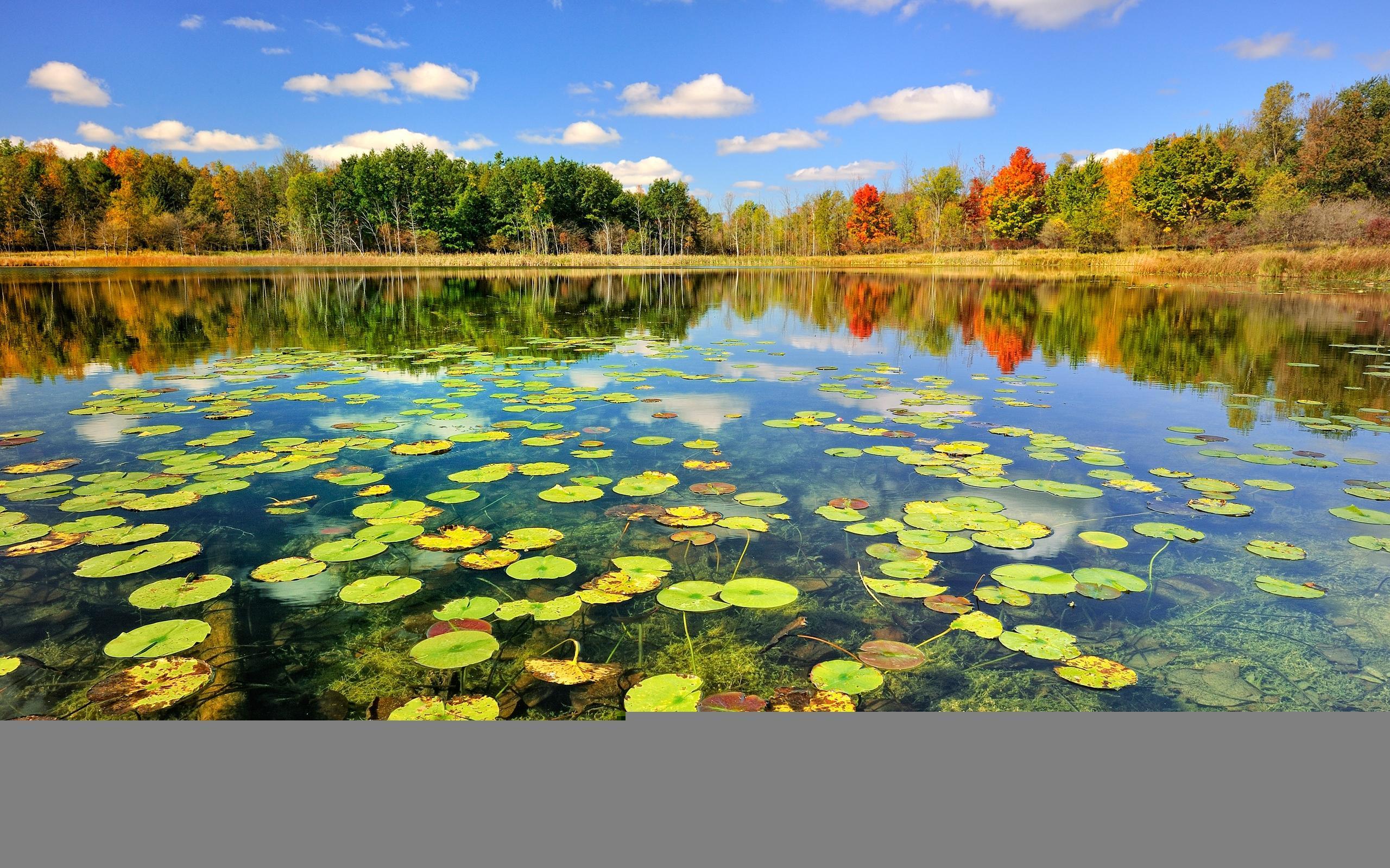 Beautiful Lake Scenery, Autumn HD Desktop Wallpaper