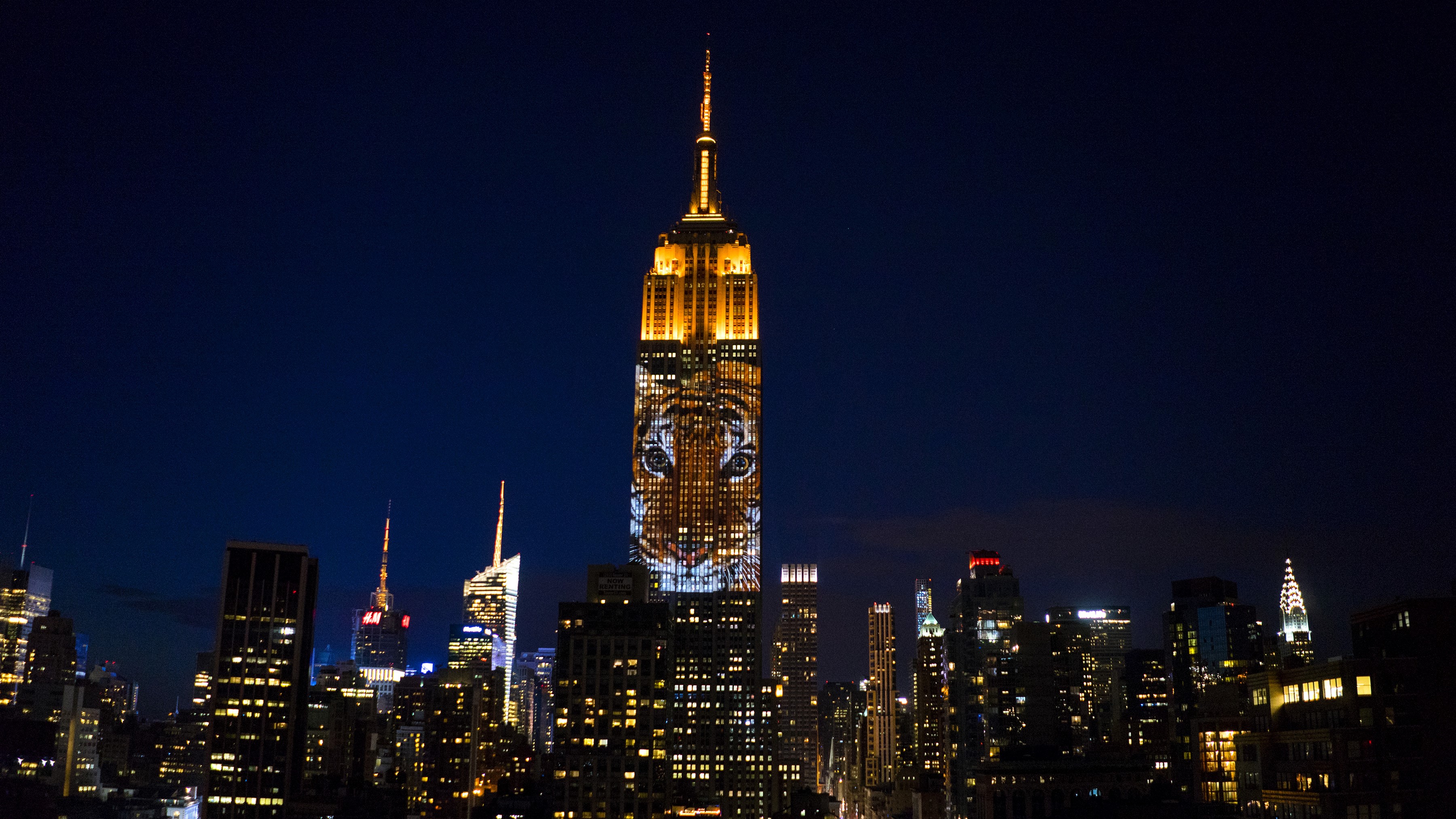 Empire State Building at Night View Wallpapers