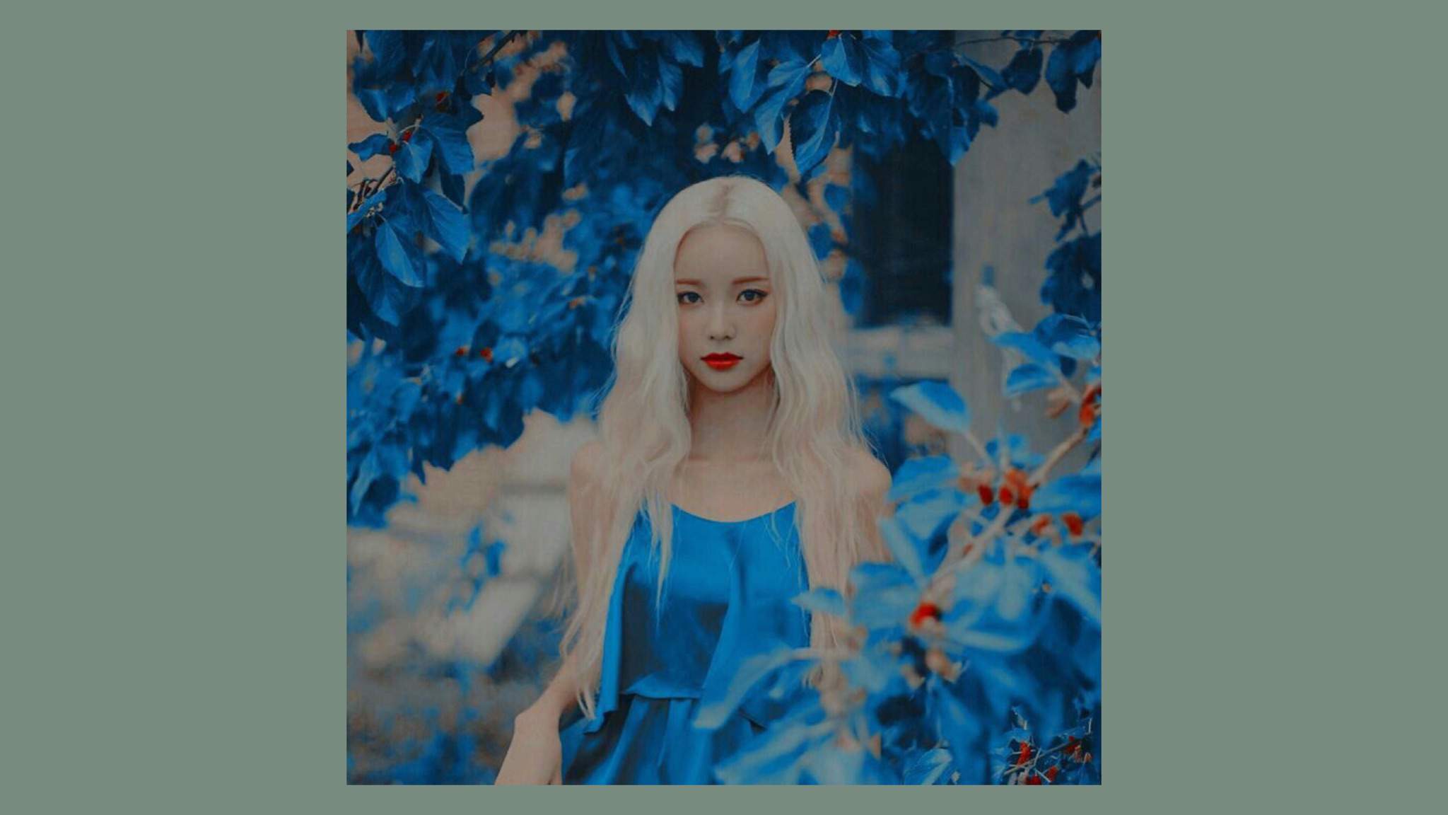 jinsoul edit & wallpaper