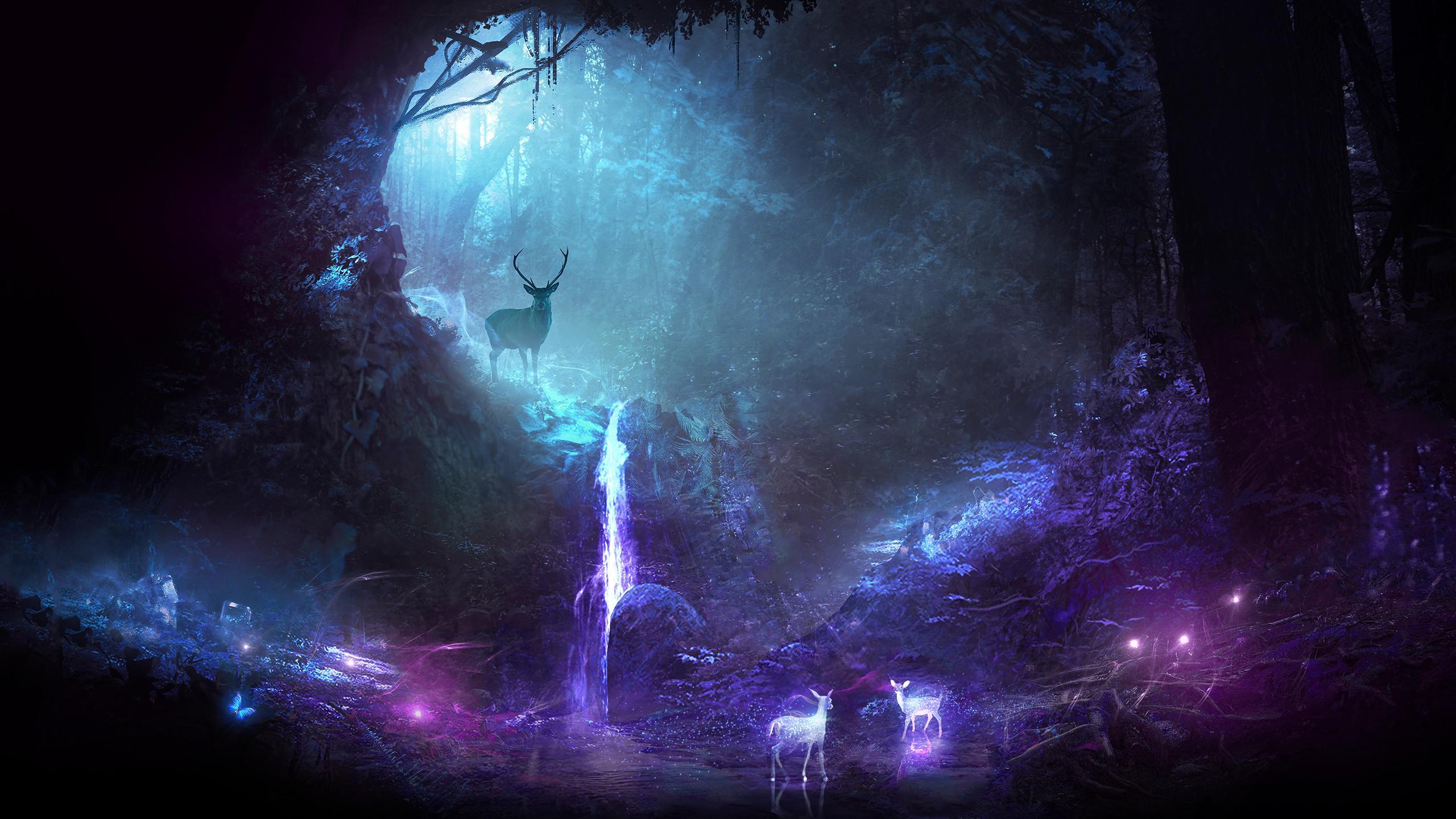 Deer Animal Night Fantasy Waterfall, HD Artist, 4k Wallpaper