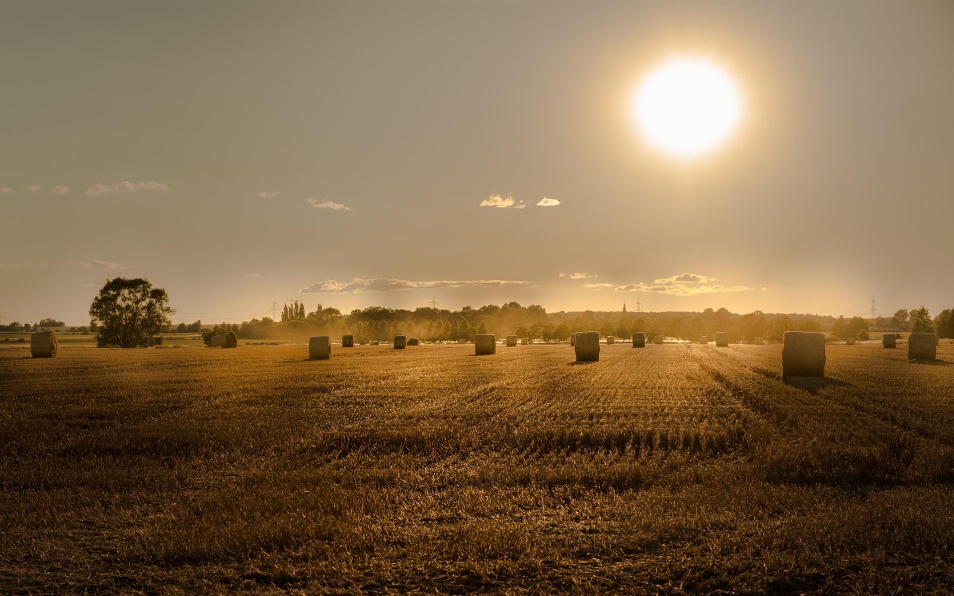 Wallpaper Summer, fields, hay, sunset 1920x1200 HD Picture, Image