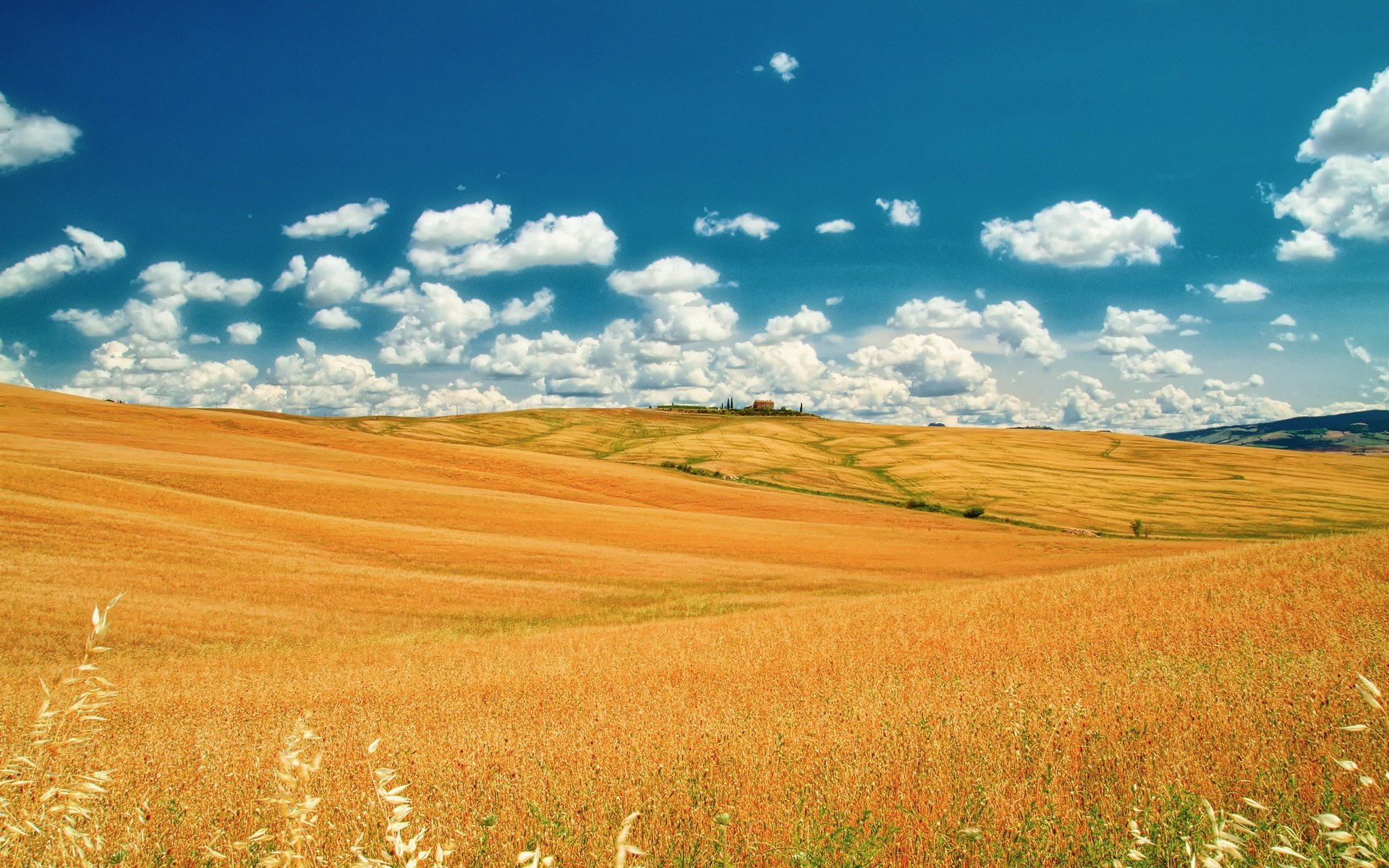 Wallpaper Italy, Tuscany, summer fields, sky, clouds, yellow, blue
