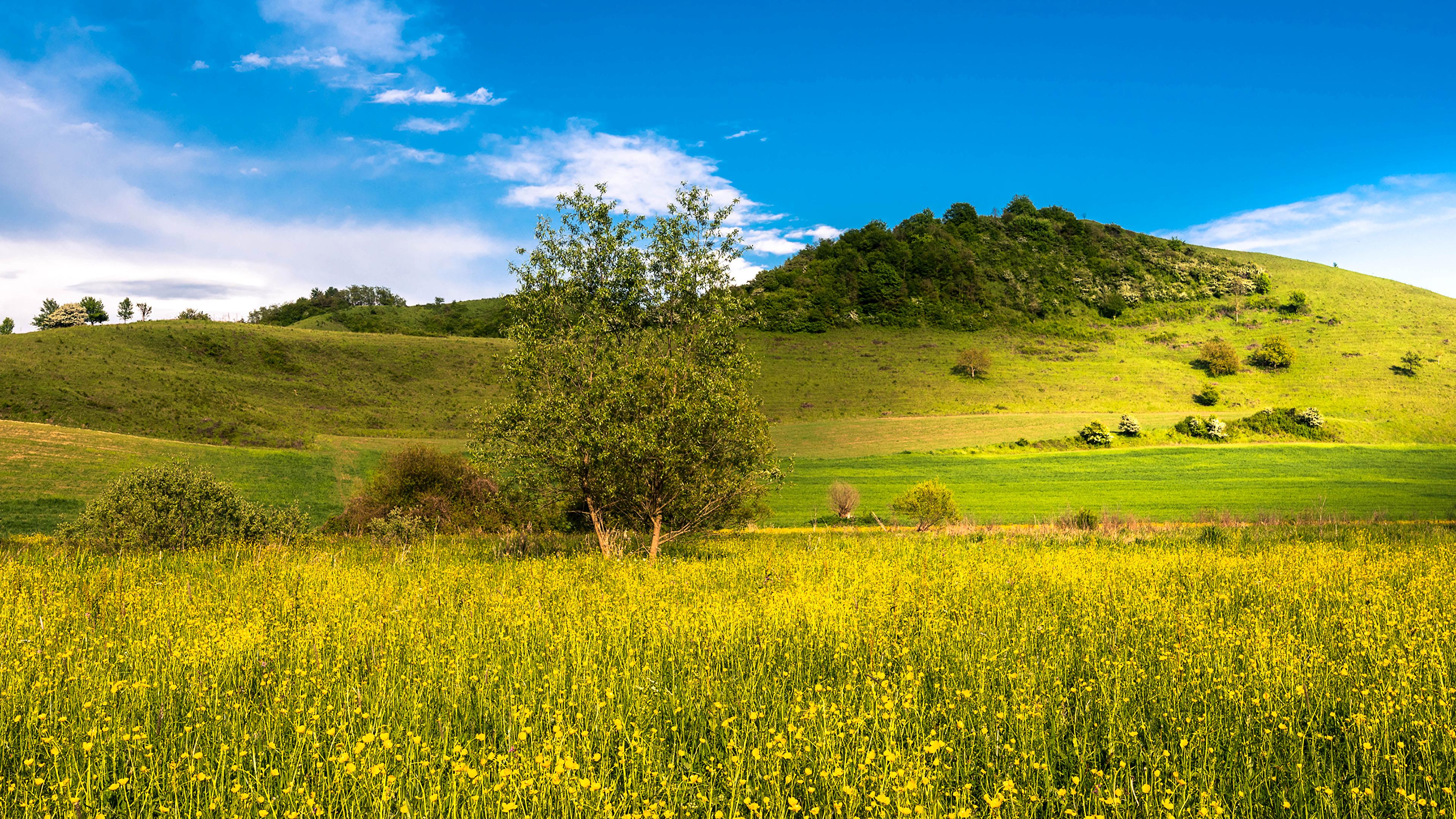 Photos Nature Summer Sky Fields 3840x2160