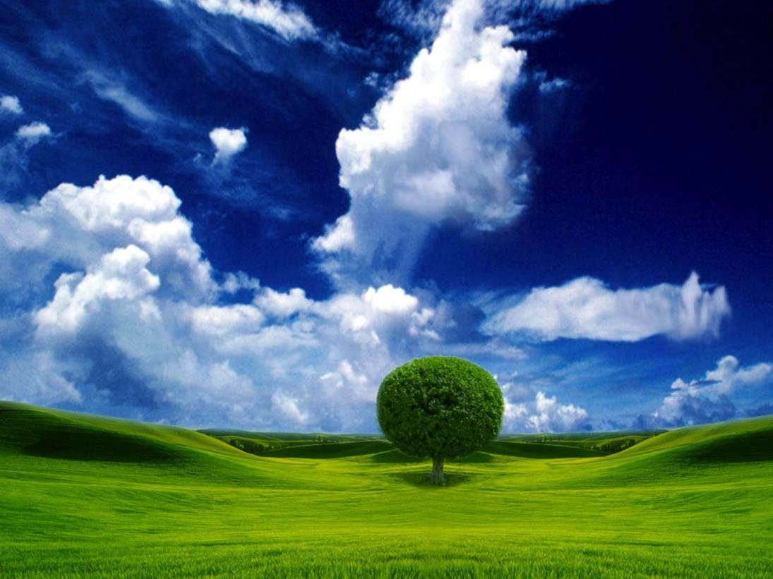 Field: Lonely Tree Hill Grass Blue Sky Nature Shadow Field Clouds