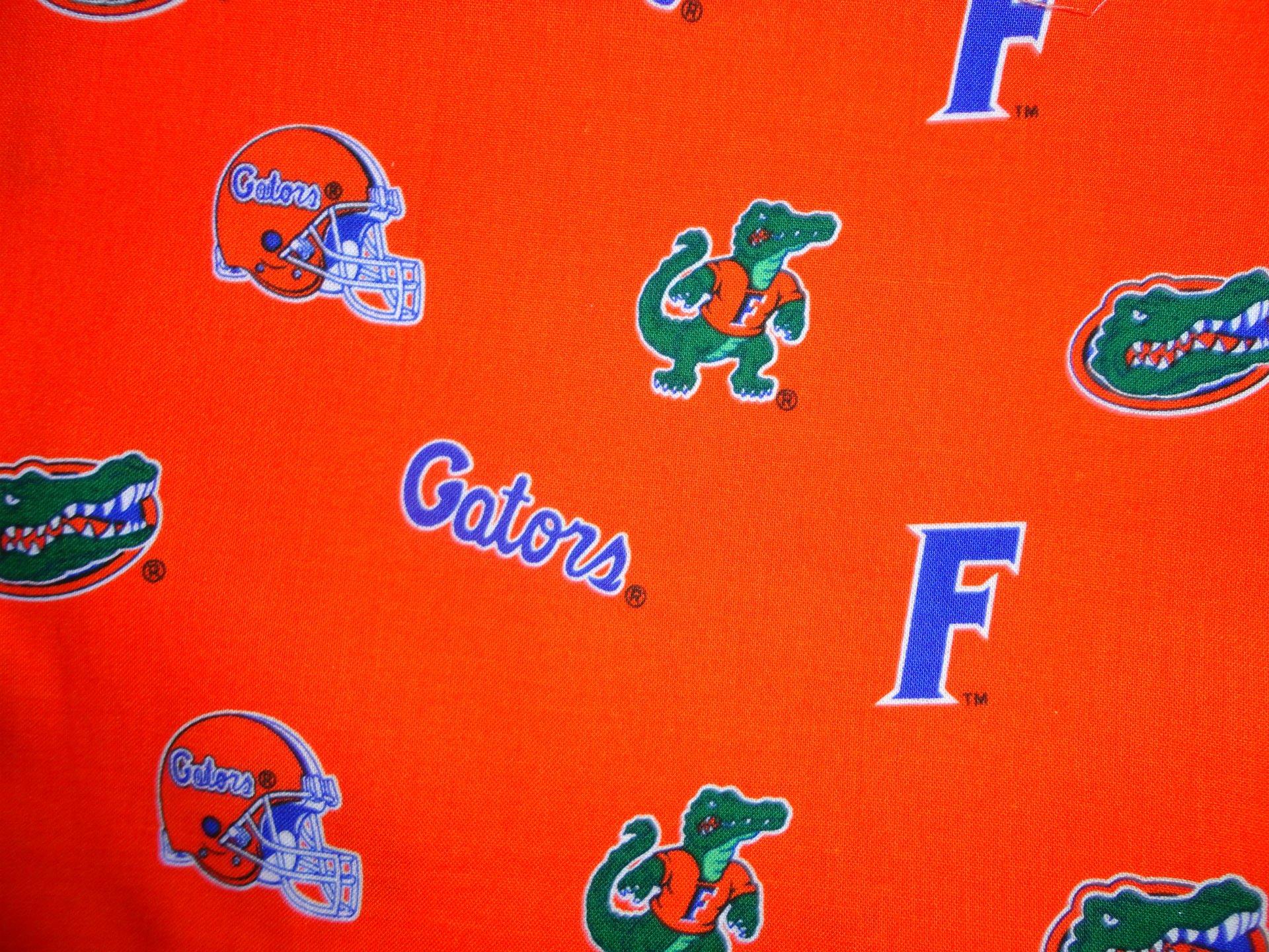 Florida Gators College Football Wallpapers  Wallpaper Cave