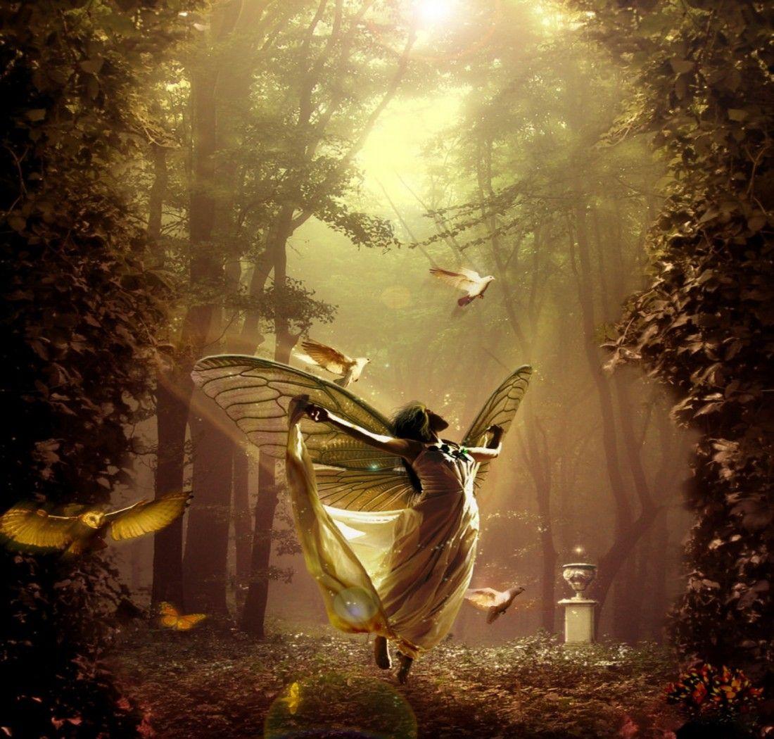 Enchanted Fairy Forest Wallpaper. Enchanted Fairy Forest Female