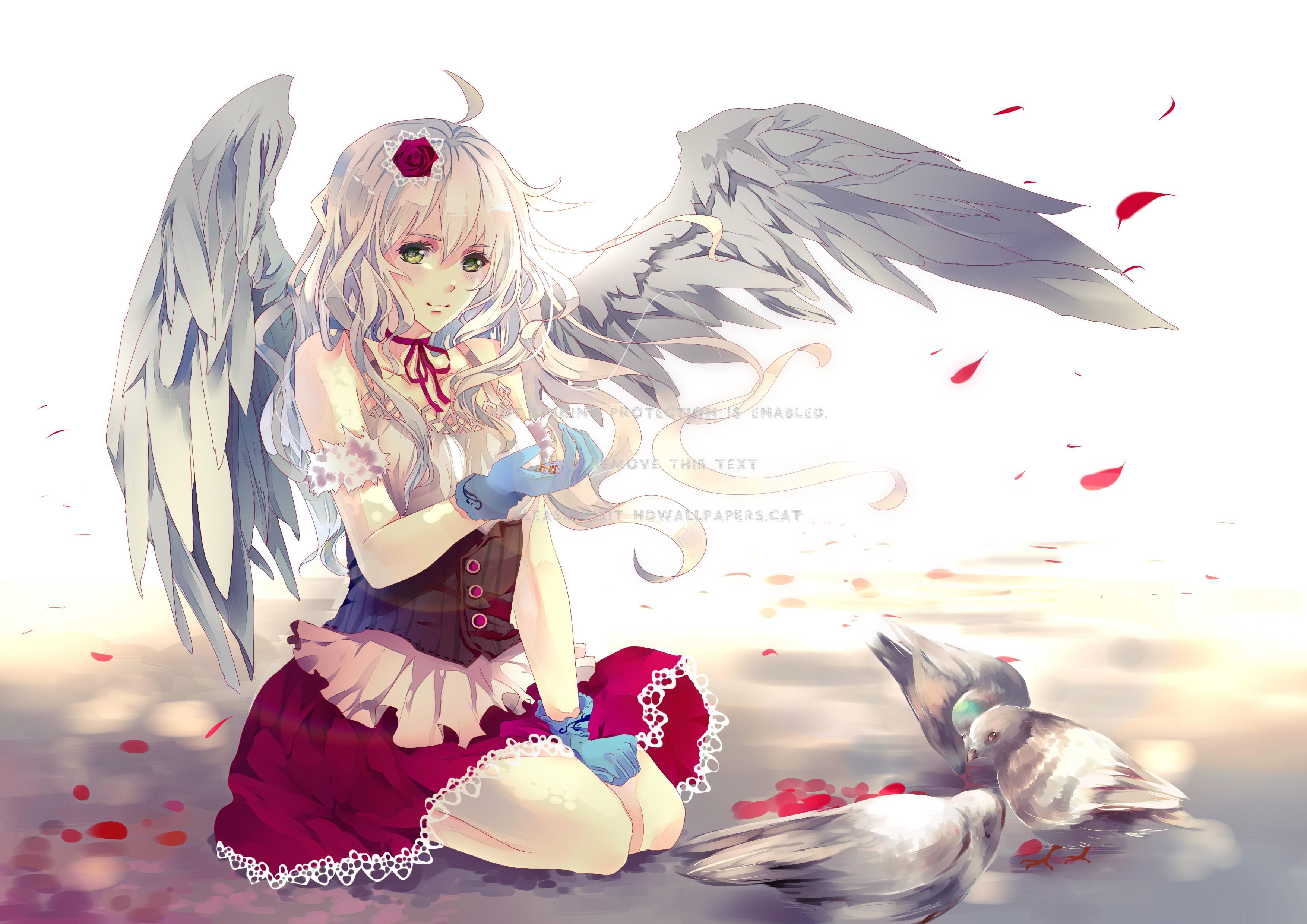 anime angel fantasy girl dress rose petals