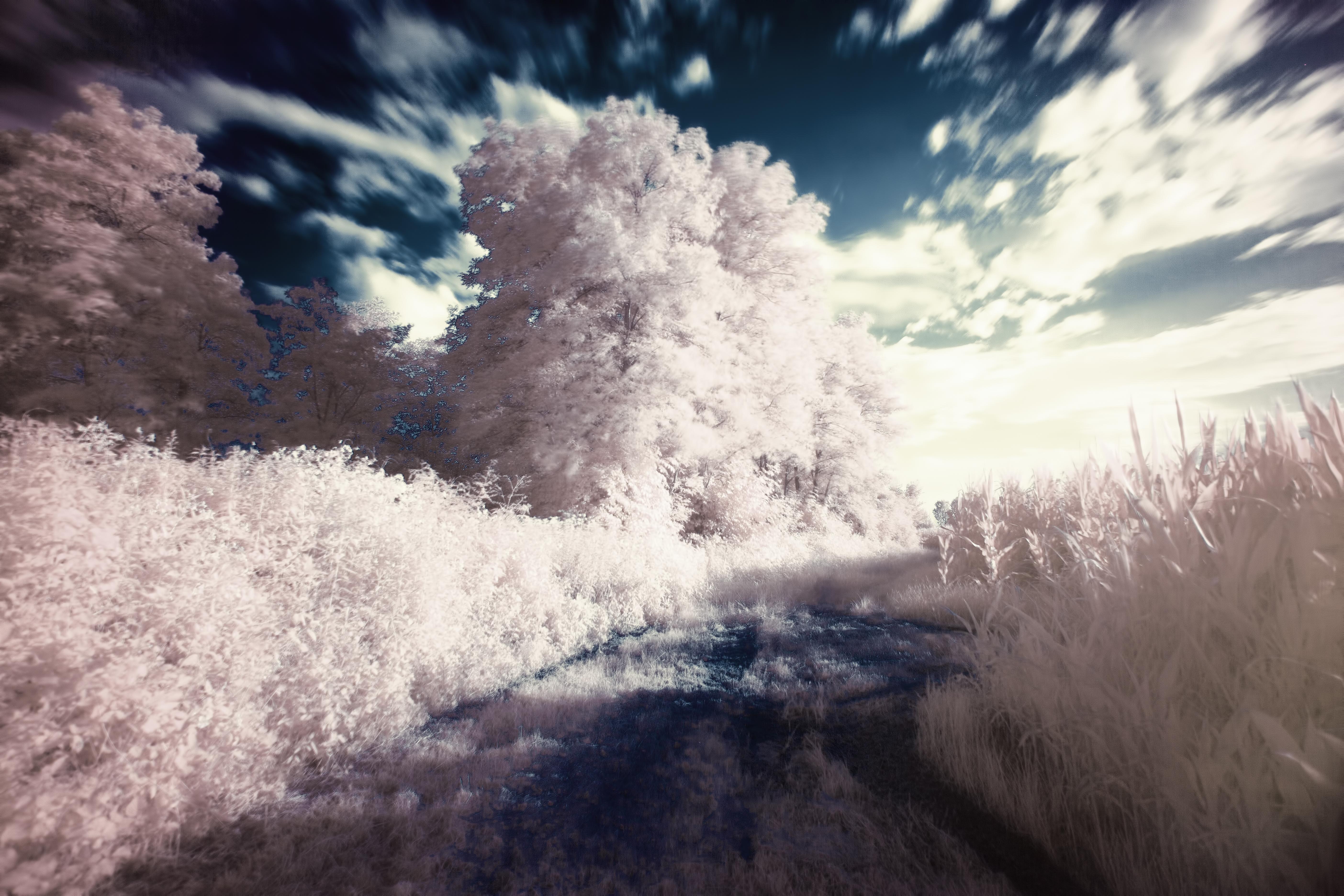 Dream Filter Infrared Surreal Image. Free Stock Image Library