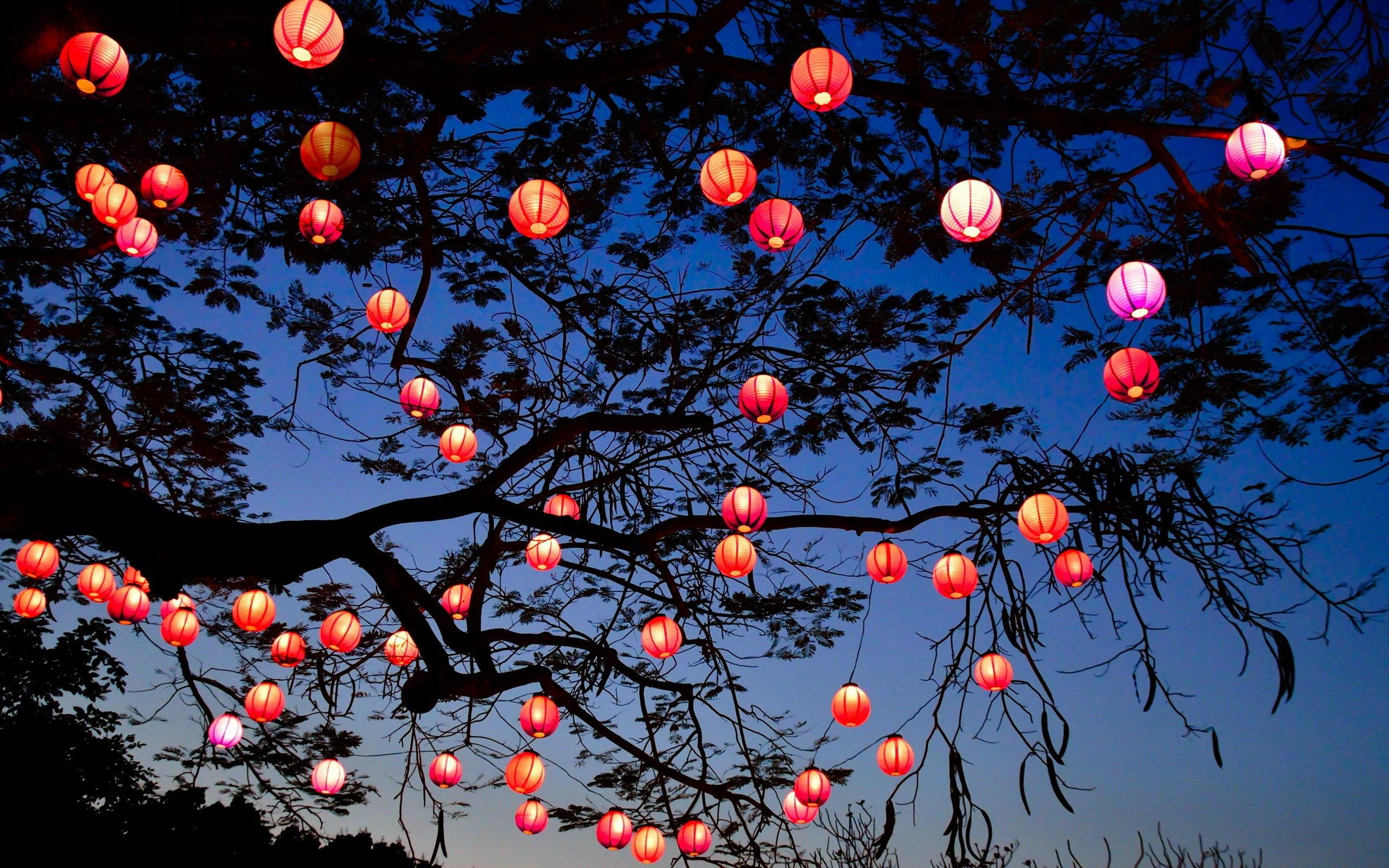 Night lights tree lantern lamp bokeh wallpaperx1600