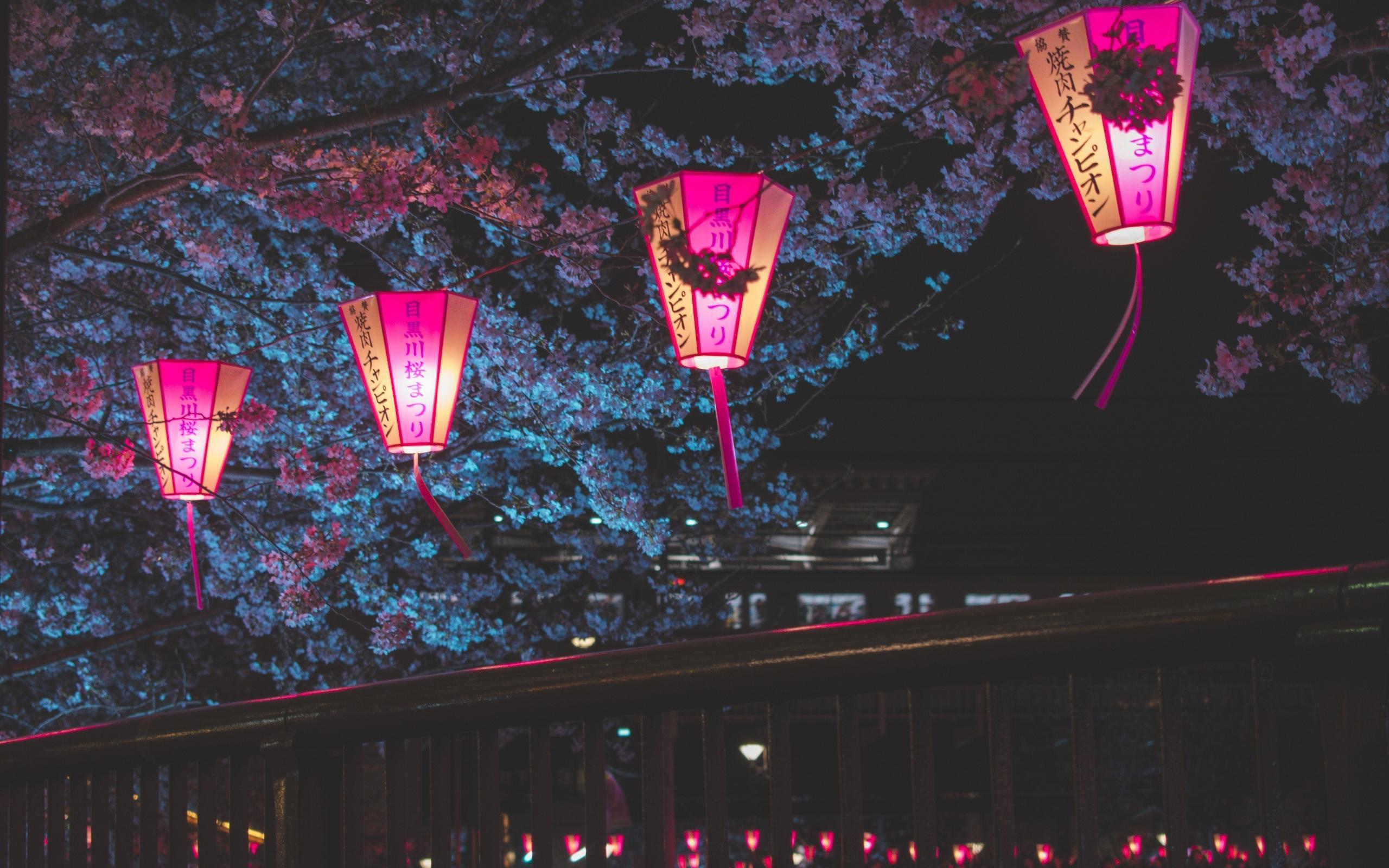Japan Night Cherry Blossom Trees Lantern Glowing Night