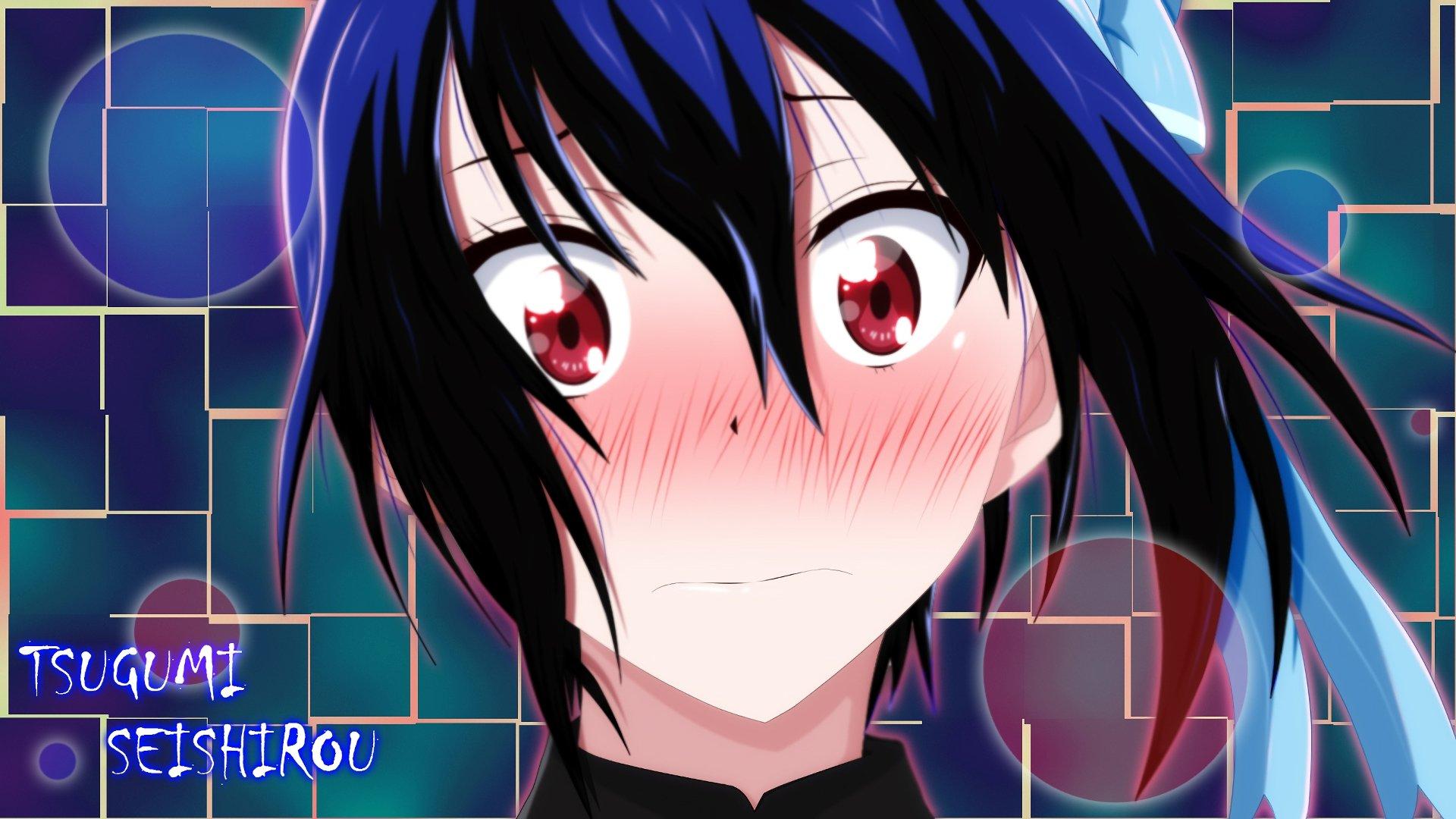 Seishirou Tsugumi wallpaper HD for desktop background