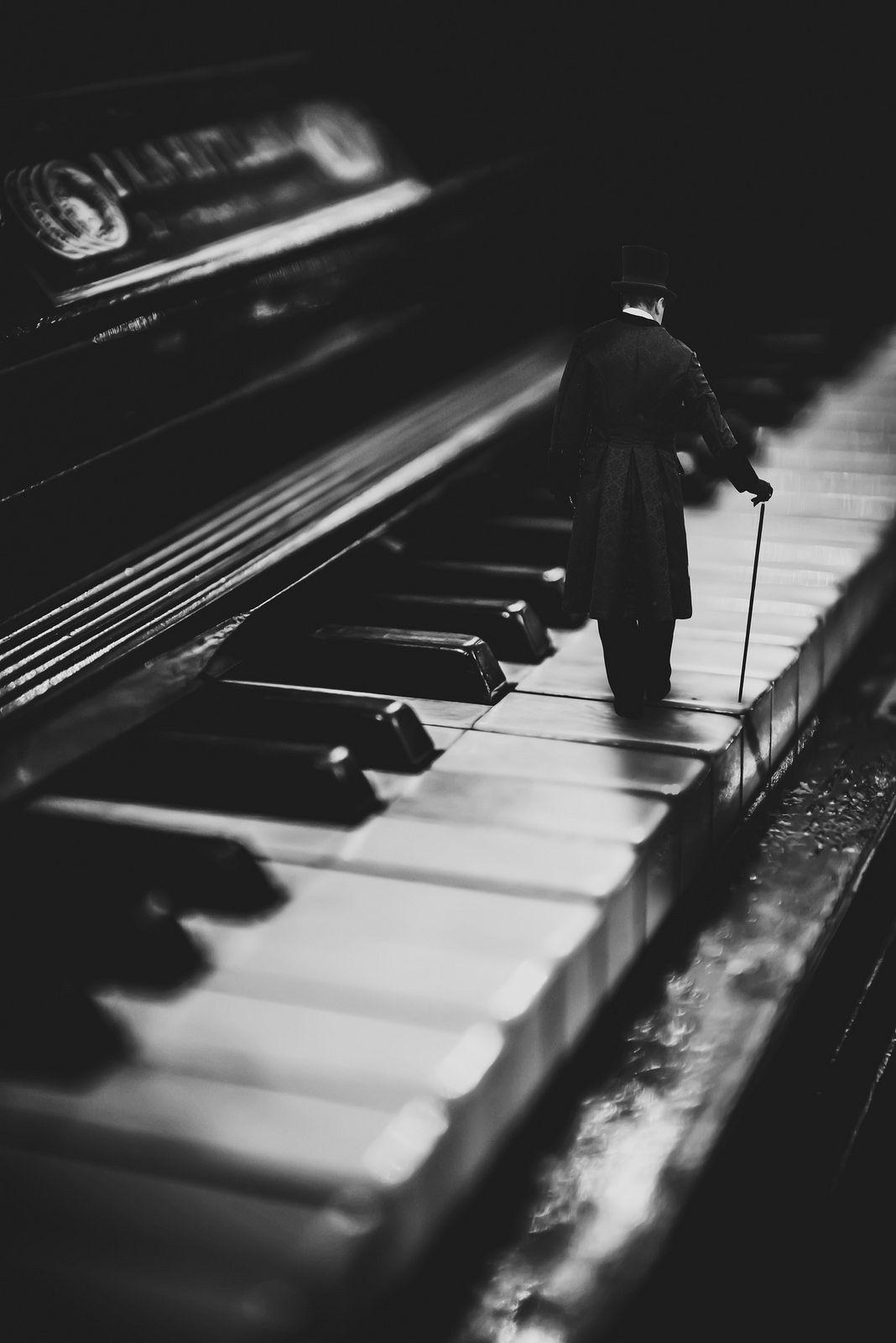 The Pianist. Musician photography, Composition photography, Piano picture
