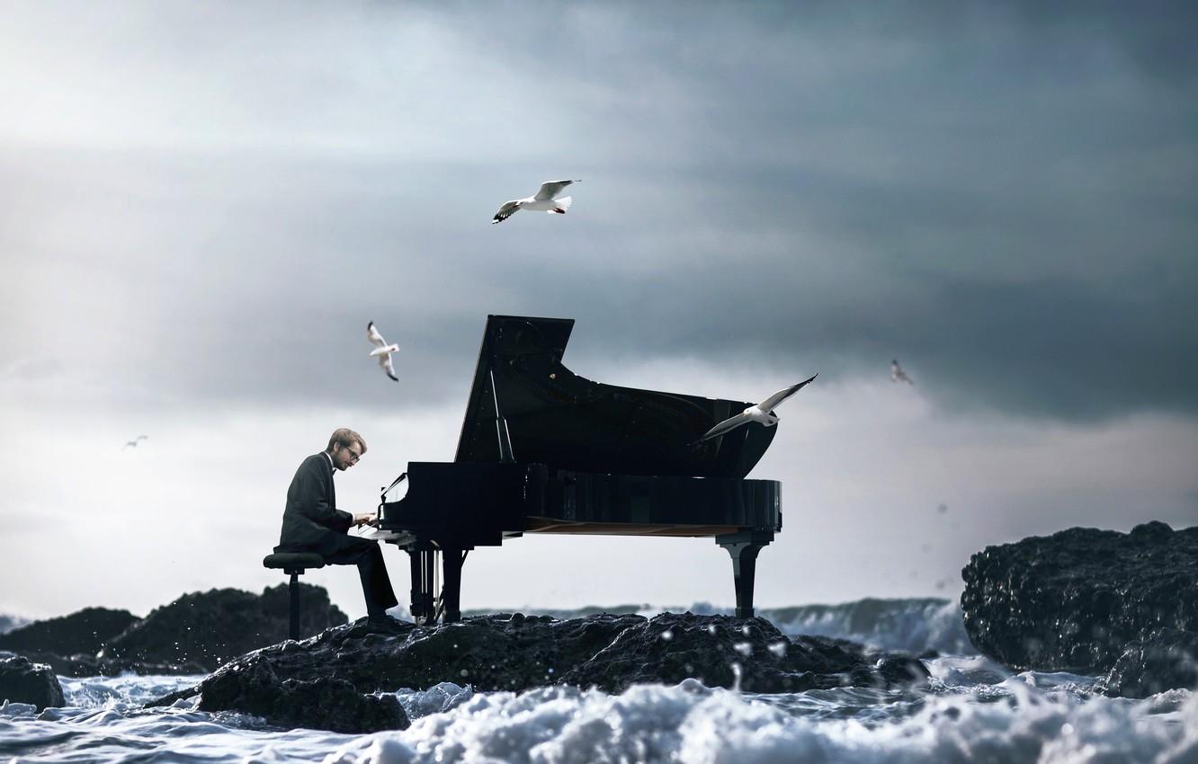Wallpaper wave, seagulls, piano, pianist, Vincent Bourilhon