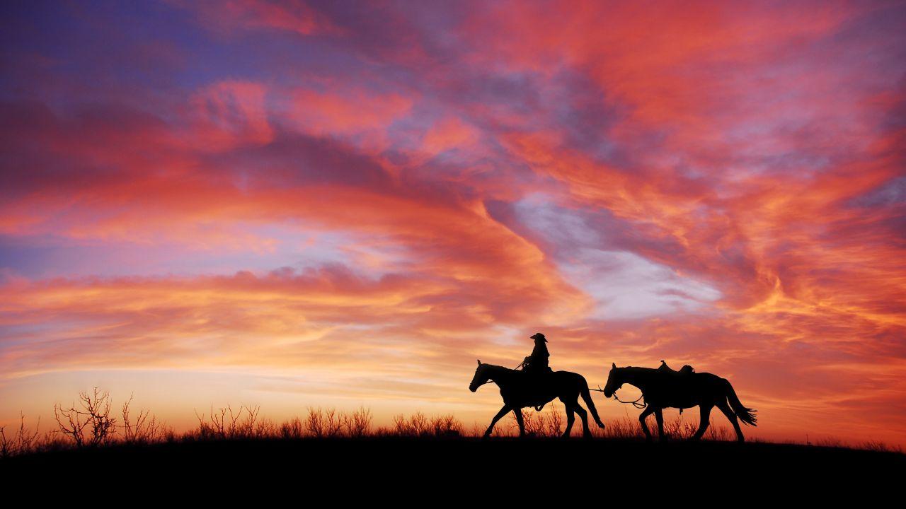 Wallpaper Cowboy, Sunset, Horses, Silhouette, 4K, Photography