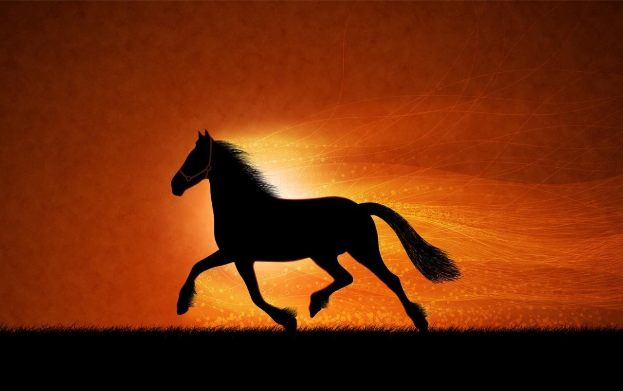 Horse At Sunset Silhouette wallpaper. Horse At Sunset Silhouette