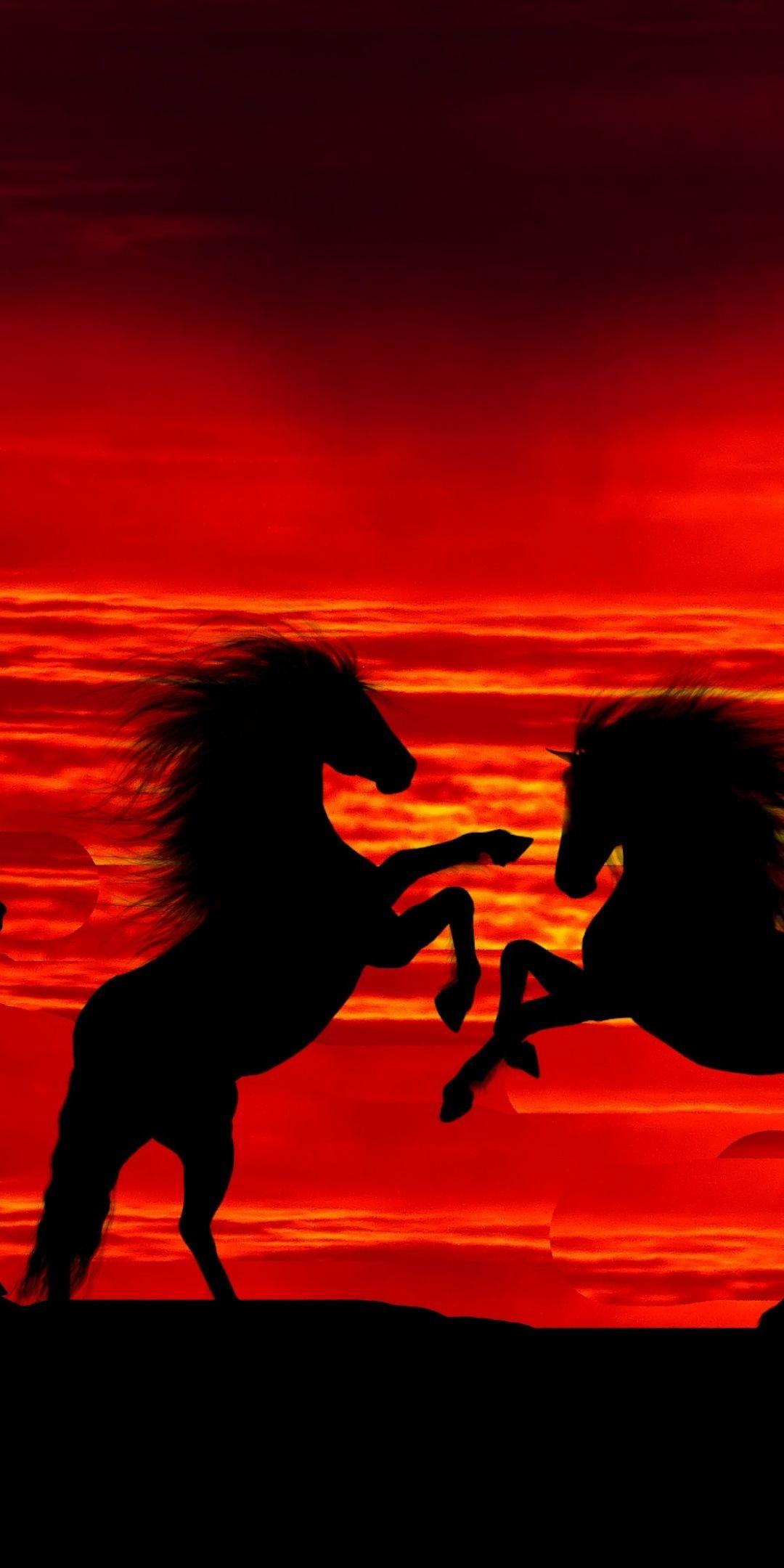 Sunset, silhouette, horses, herd, 1080x2160 wallpaper. Animals