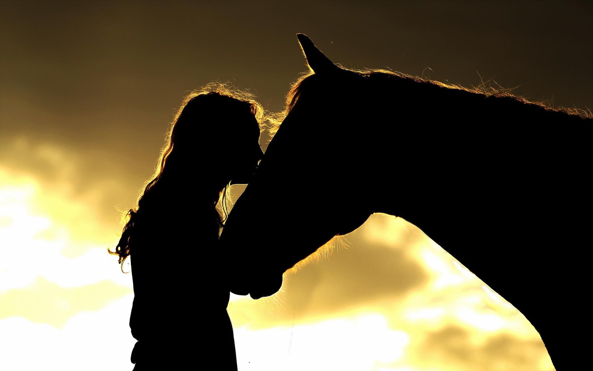 Free download Wallpaper girl horse silhouettes wallpaper mood