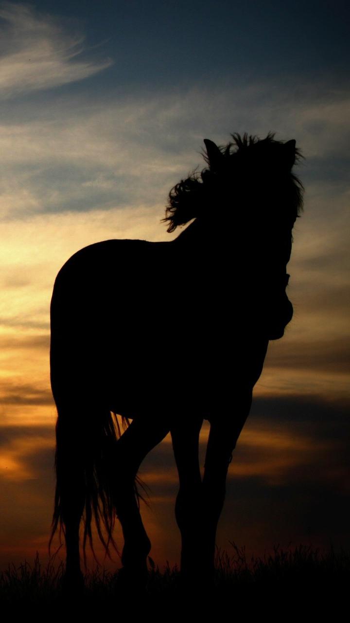 Horse Silhouette Wallpapers - Wallpaper Cave