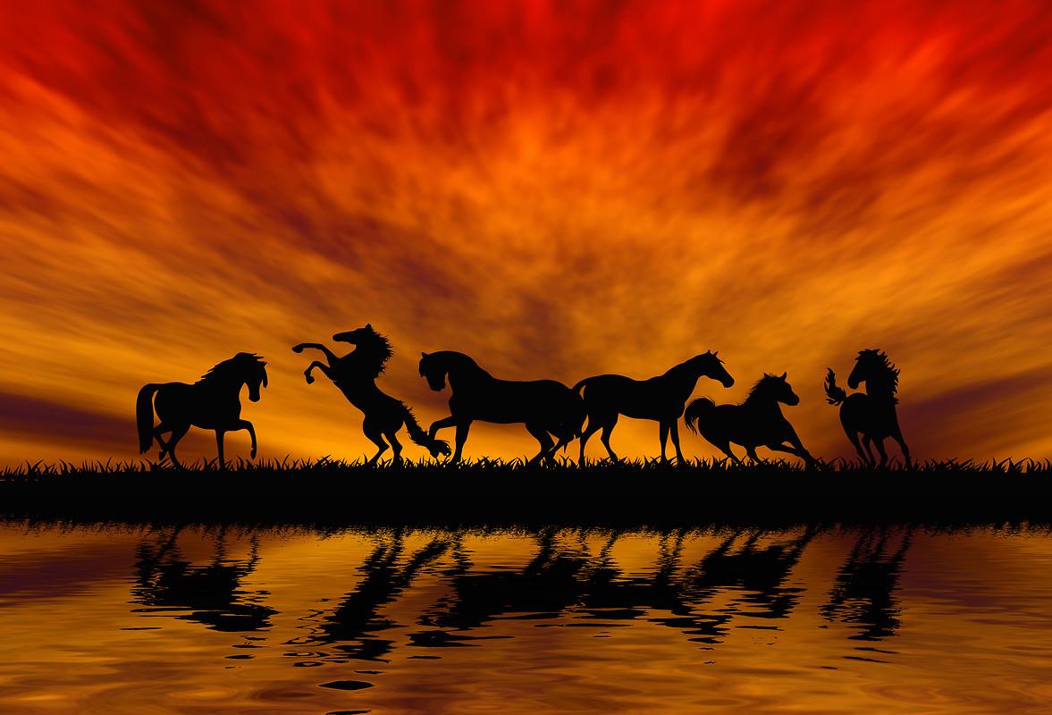 Silhouette Of Horses Free Wallpaper download Free