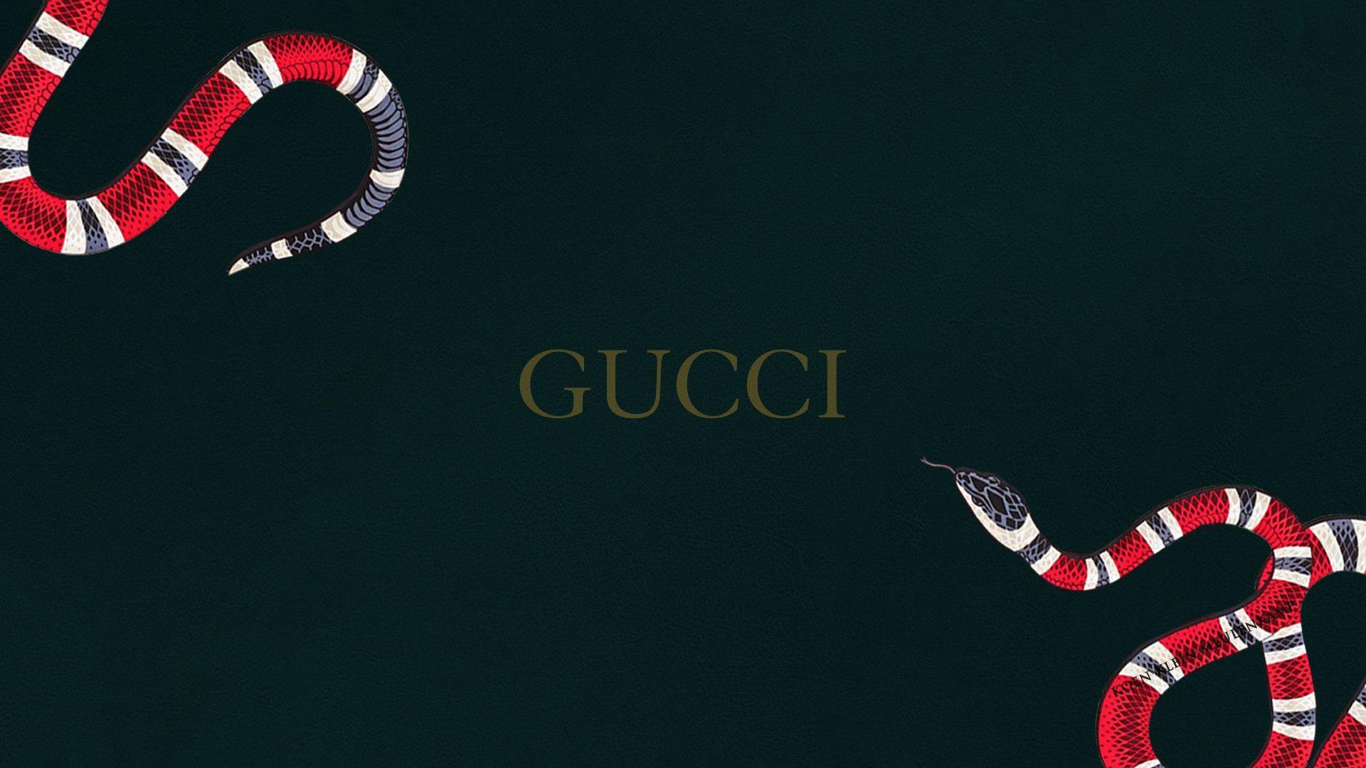 Supreme Gucci posted by Ethan Sellers iPhone Wallpapers Free Download
