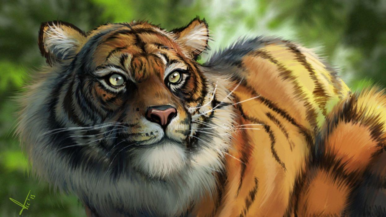Fantasy art artwork tiger predator carnivore cat wallpaper