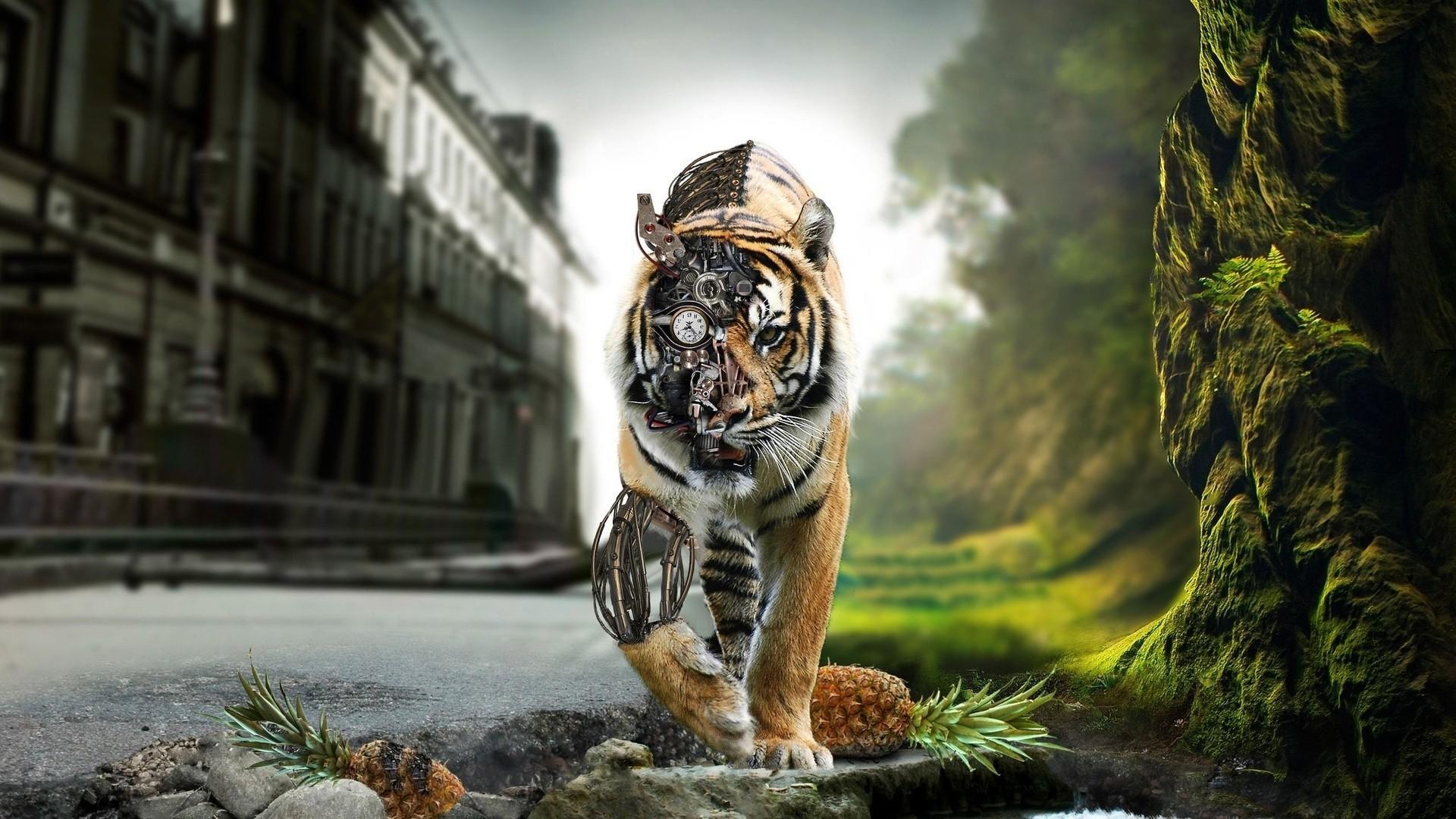 Tiger Wallpaper background picture