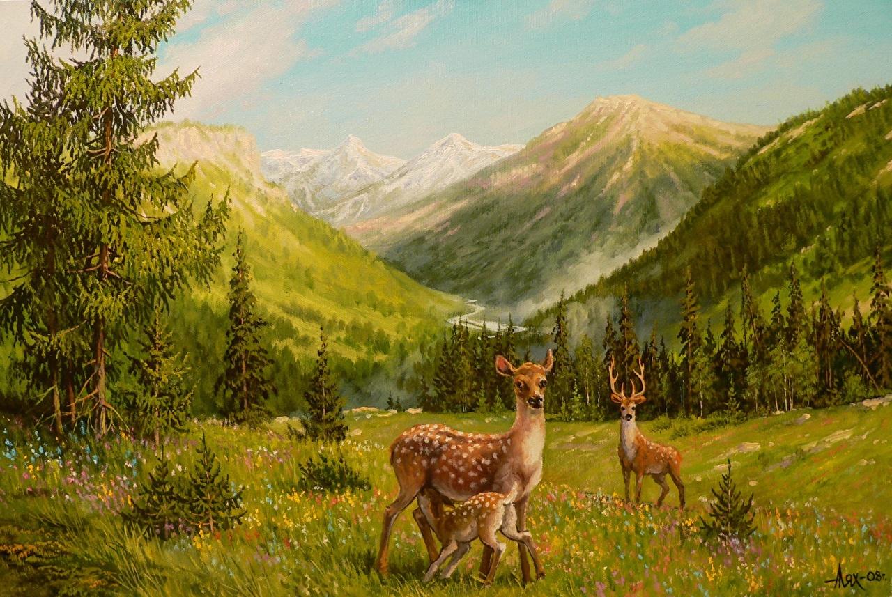 Image Deer Andrew Lyakh mountain Scenery Pictorial art