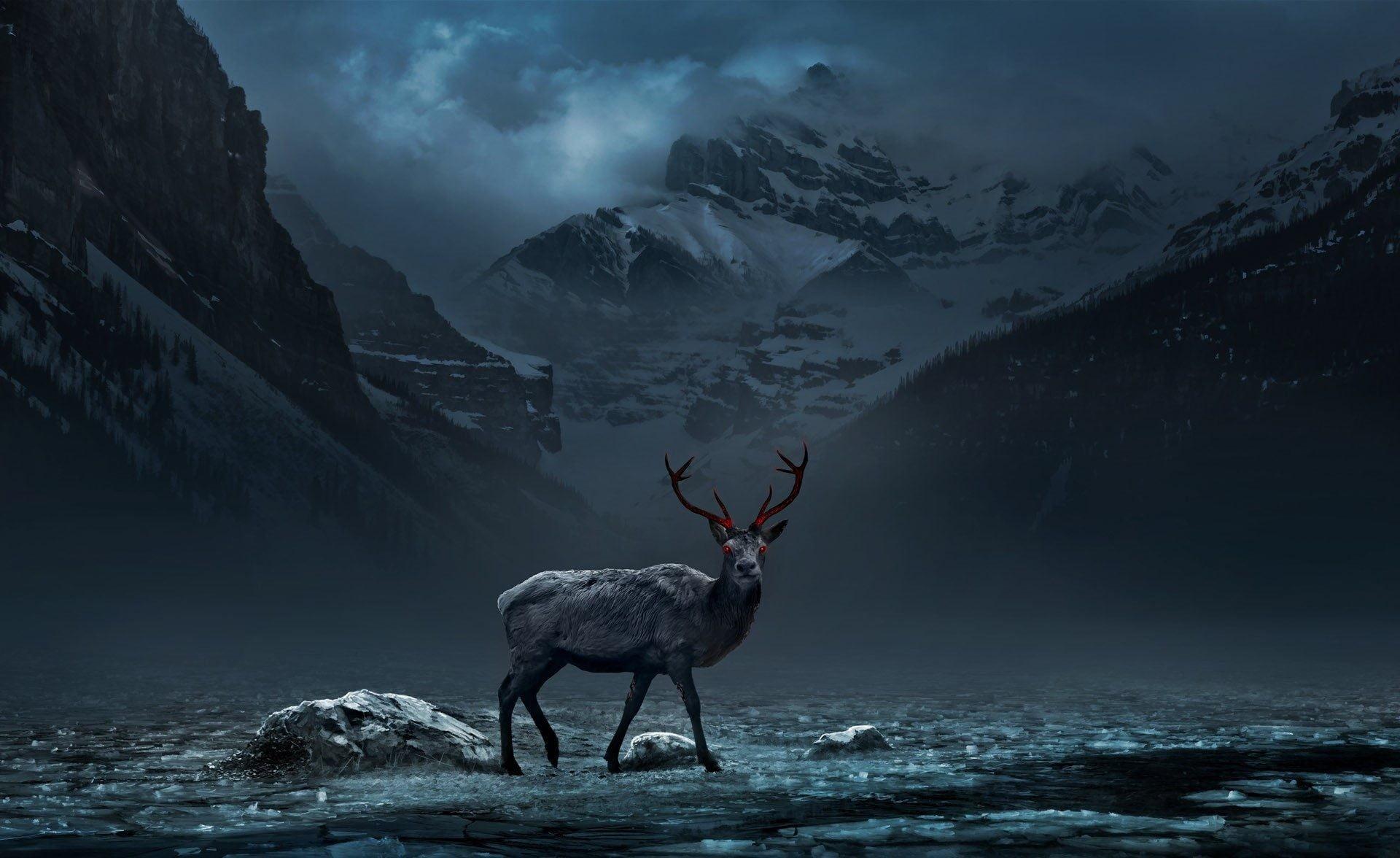 HD wallpaper: Deer on path, animal in forest, trees, fog, wildlife