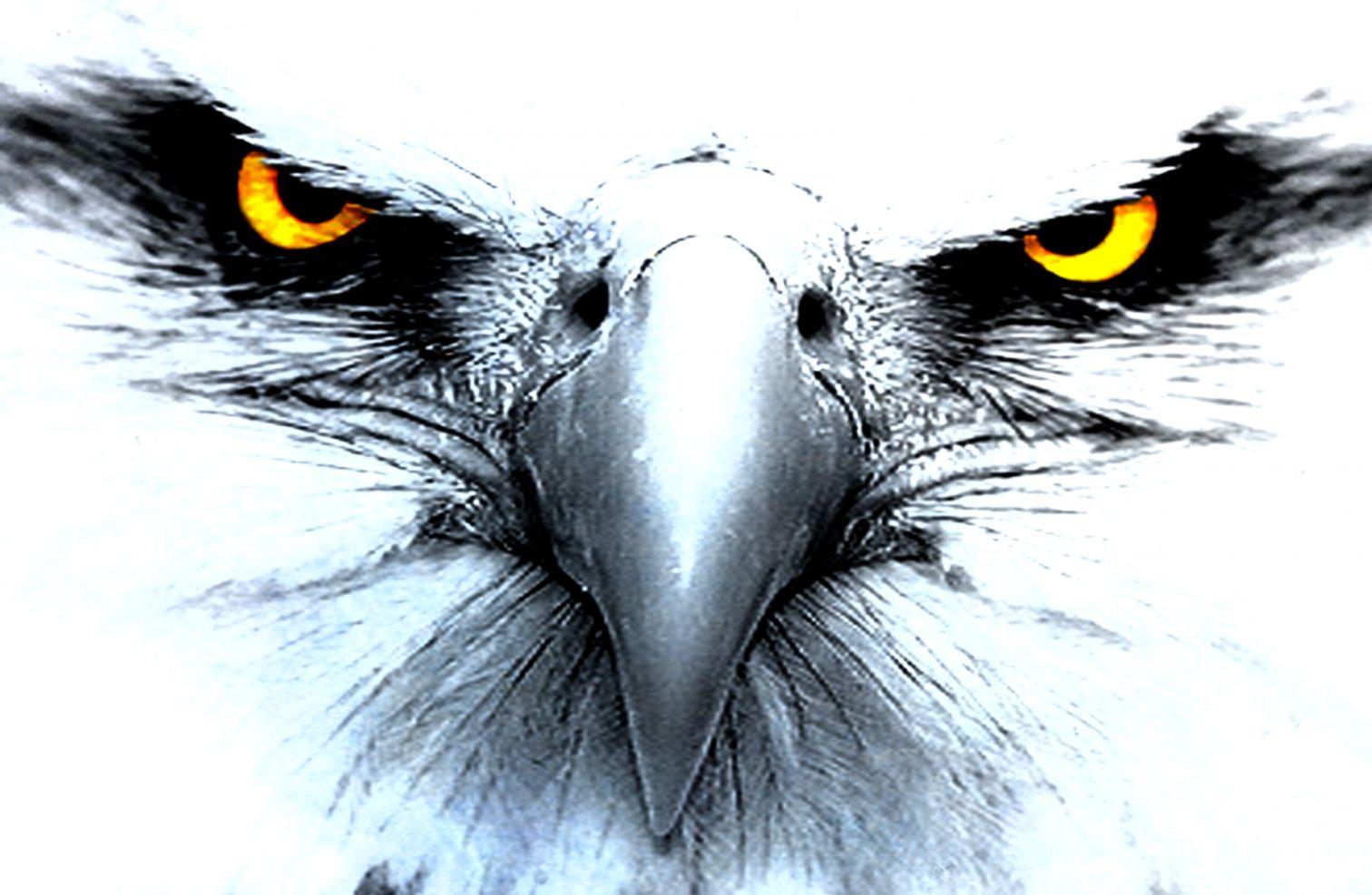 eyes of eagle 5e