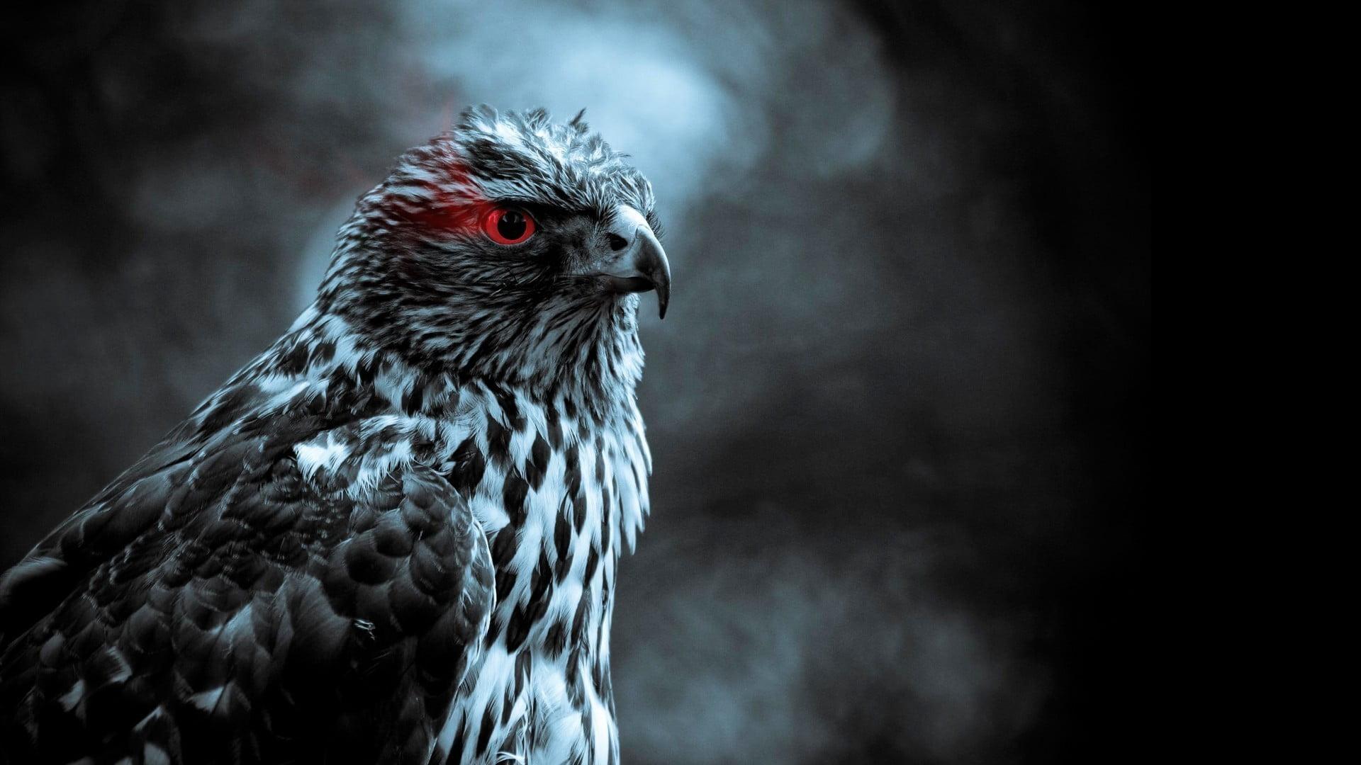 Grayscale photo of eagle, birds, smoke, red eyes HD wallpaper