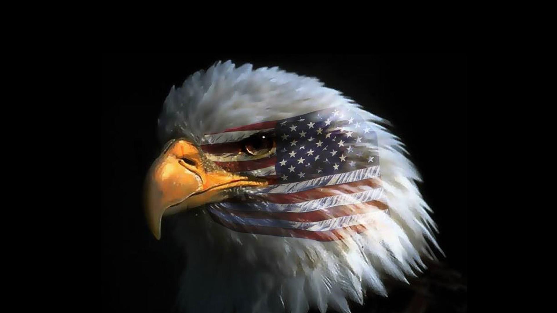 Eagle Eye American Flag Wallpaper HD Or Mobile Phone And Pc