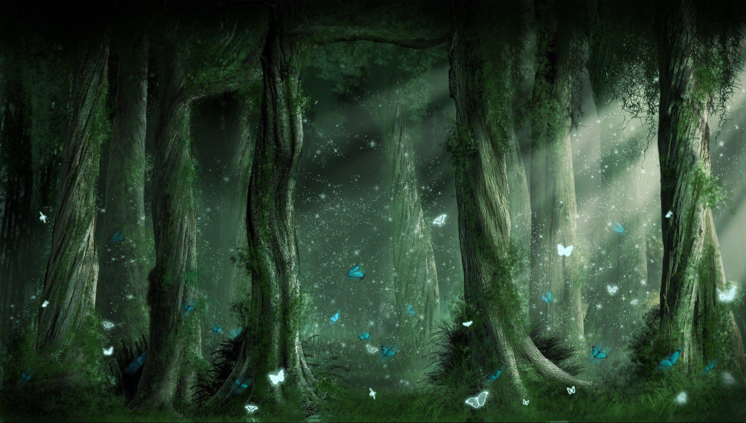 Enchanted Forest. 숲 벽지, 판타지 아트, 마법의 숲