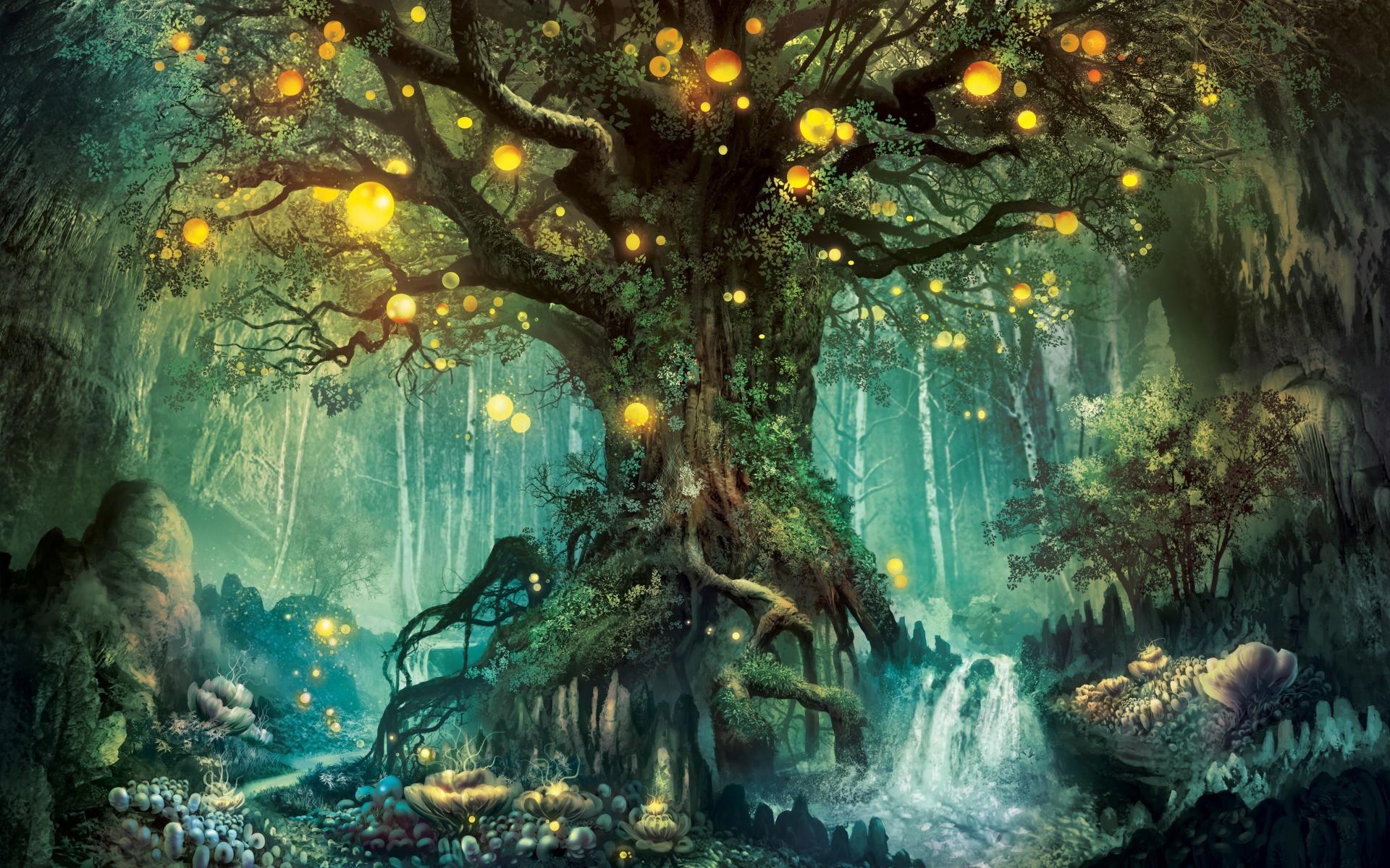 Fantasy Forest Wallpaper (the best image in 2018)