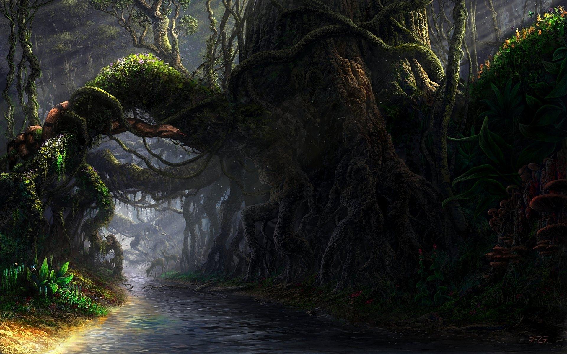Fantasy forest wallpaper HD for desktop background