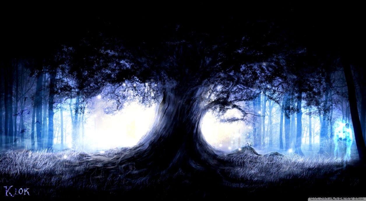 Nature Fantasy Forest Wallpaper HD