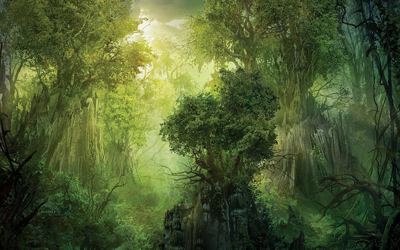 Fantasy Forest Wallpaper 11 X 1050