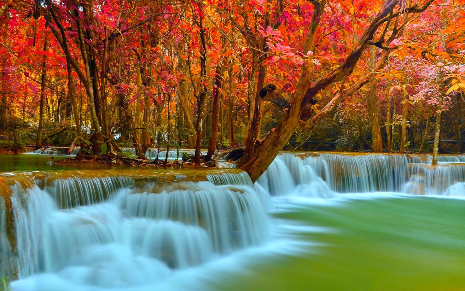 Desktop HD Wallpaper: August 2014