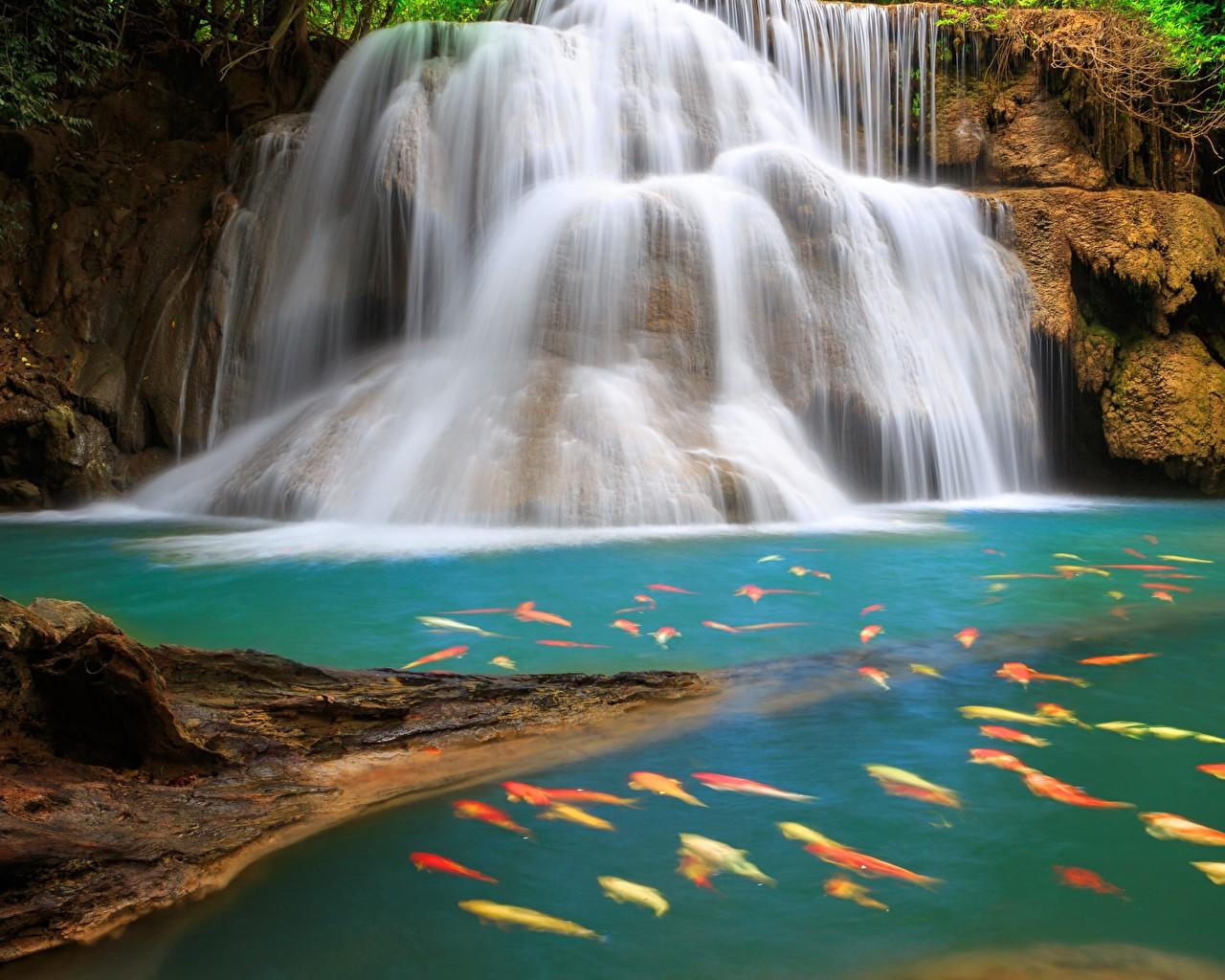 Outdoors, River, Water, Waterfall, Flora resized