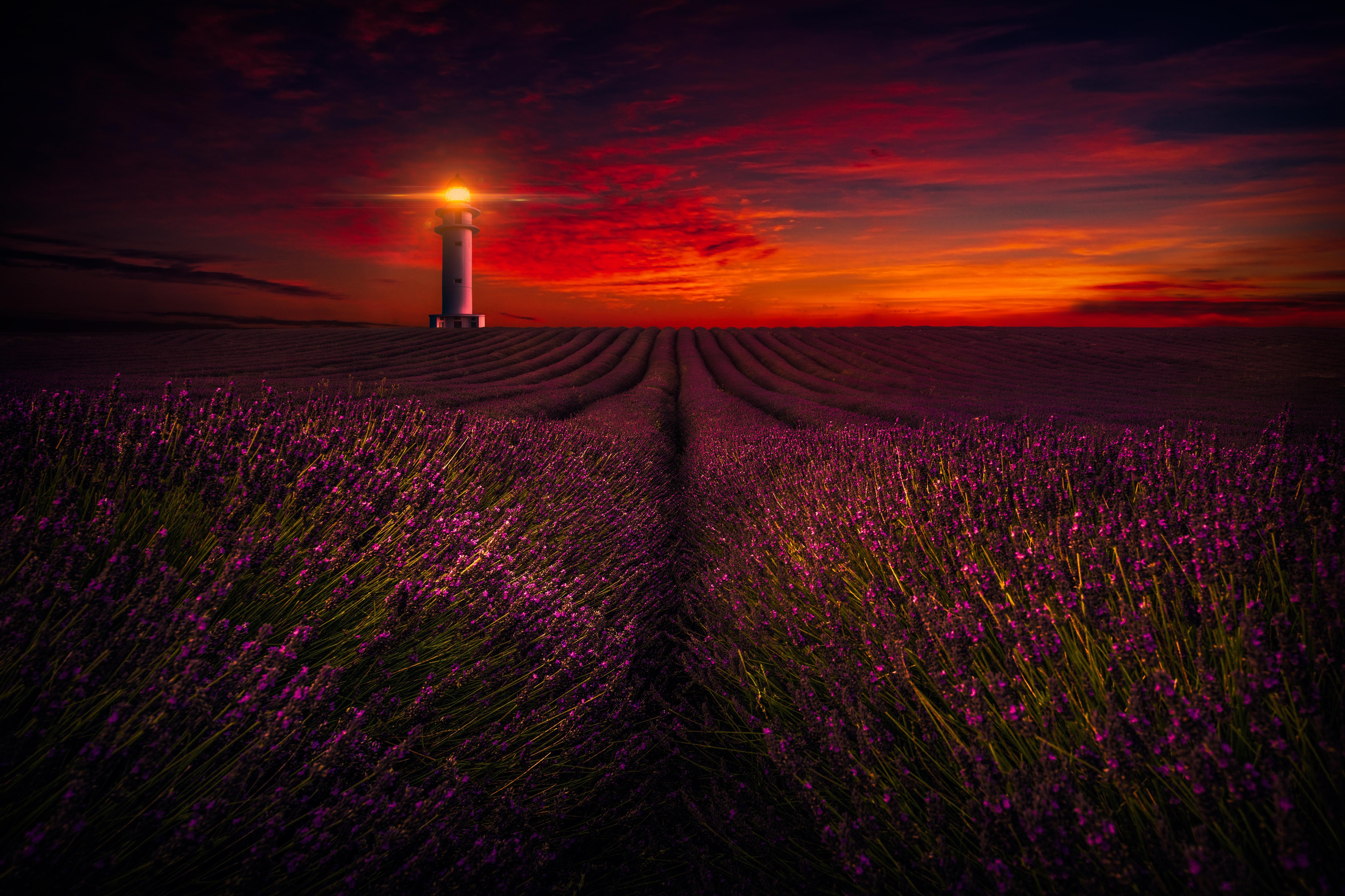 Dark Sunset over Lighthouse and Lavender Field 5k Retina Ultra HD