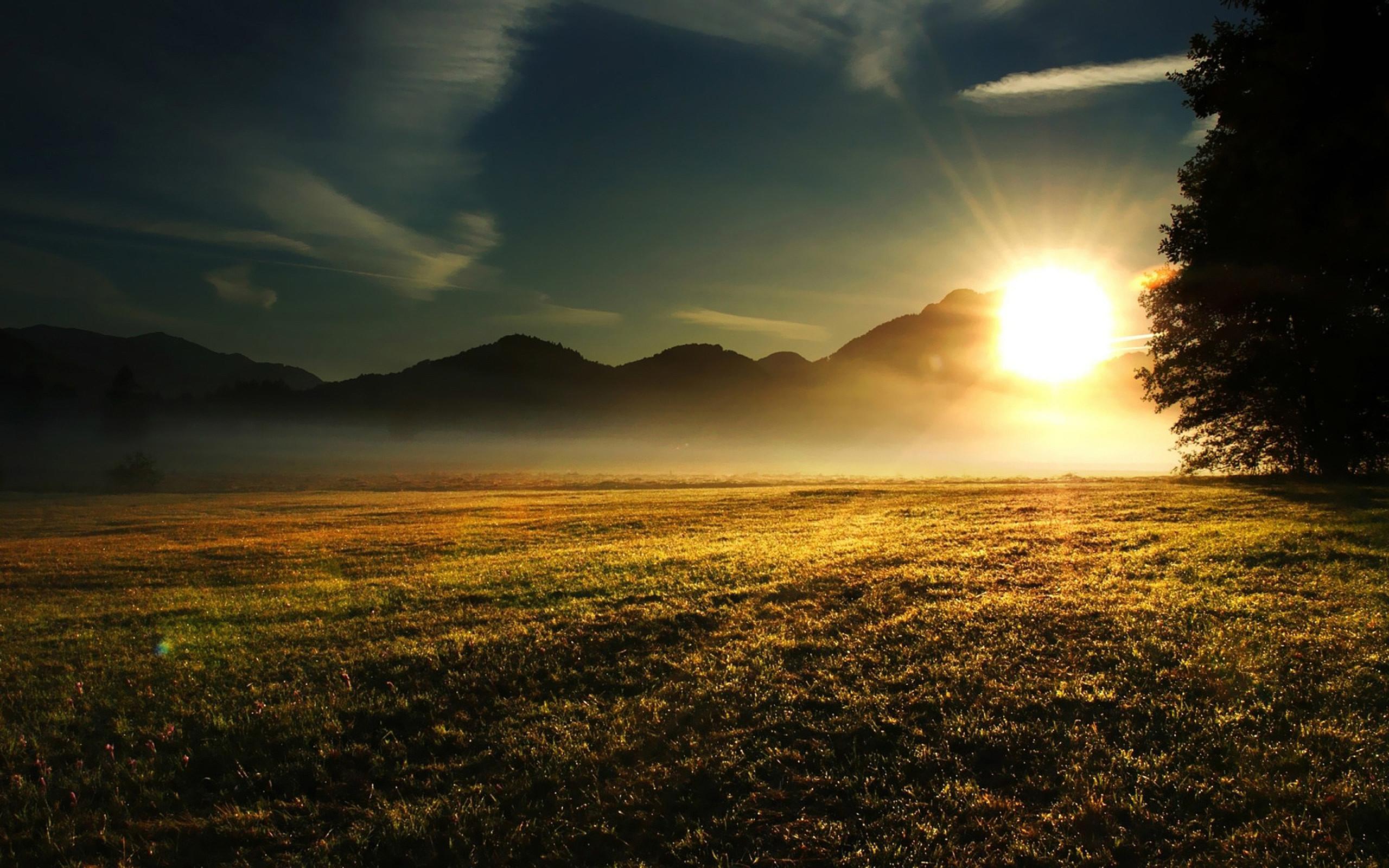 Sunset in the field. Widescreen wallpaper amazing natural