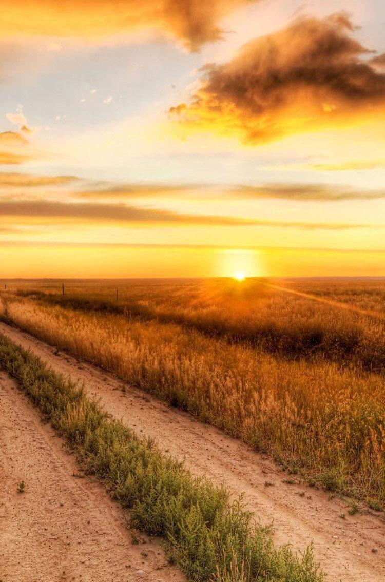 Sunset Over Beautiful Wheat Field iphone HD wallpaper