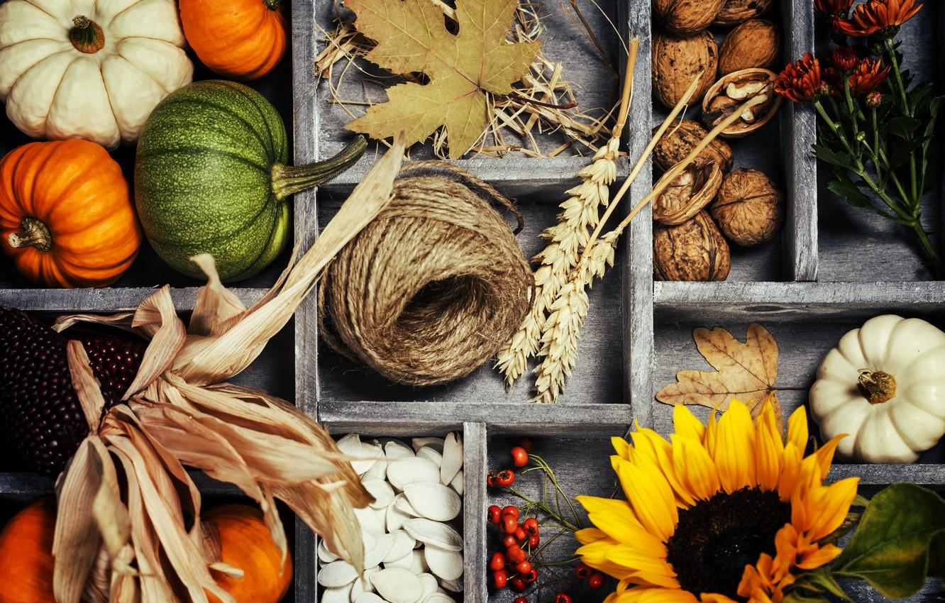 Wallpaper autumn, leaves, basket, harvest, pumpkin, vegetables, autumn, still life, vegetables, harvest image for desktop, section еда