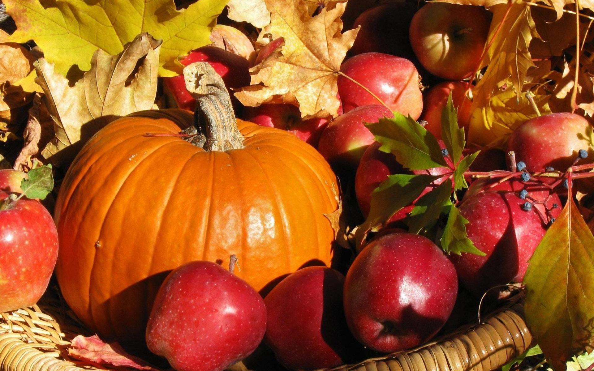 Fall Harvest Wallpaper High Quality. Fall harvest, Pumpkin, Harvest